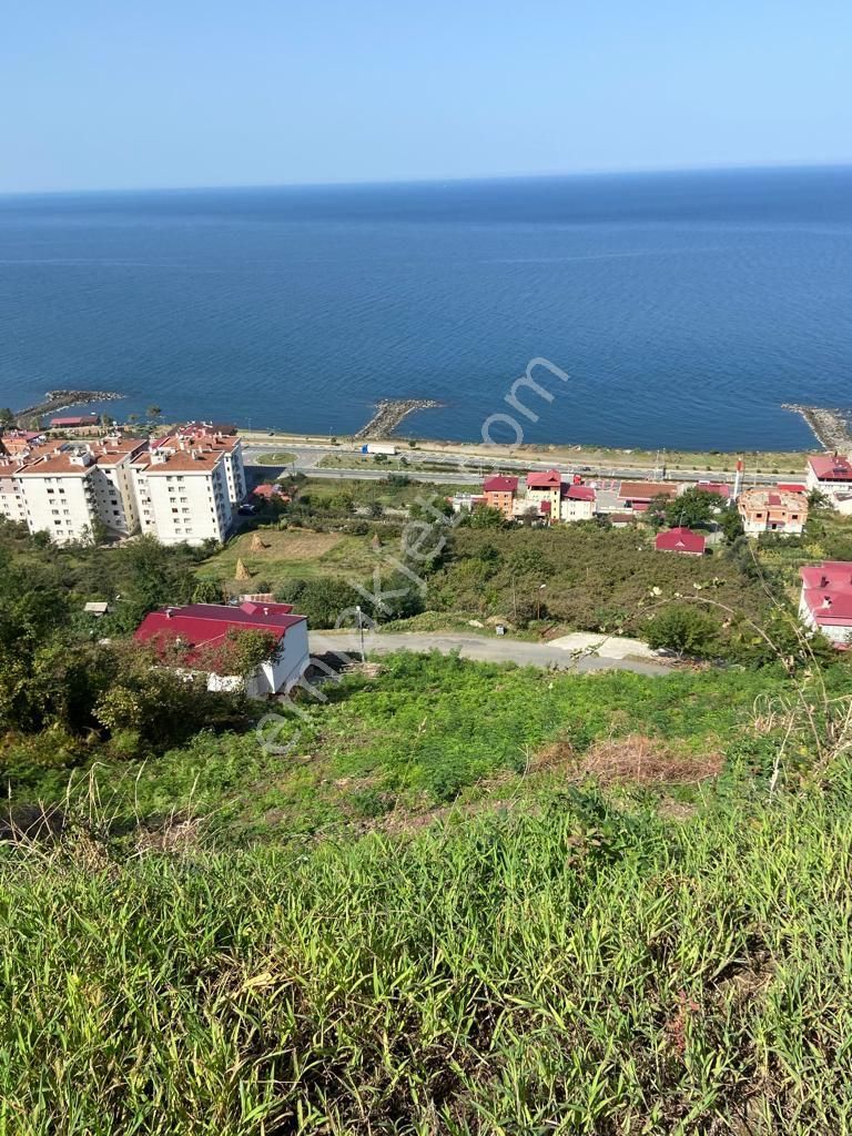 Çarşıbaşı Salova Satılık Konut İmarlı  TRABZON ÇARŞIBAŞINDA FULL MANZARALI SATILIK İMARLI ARSA