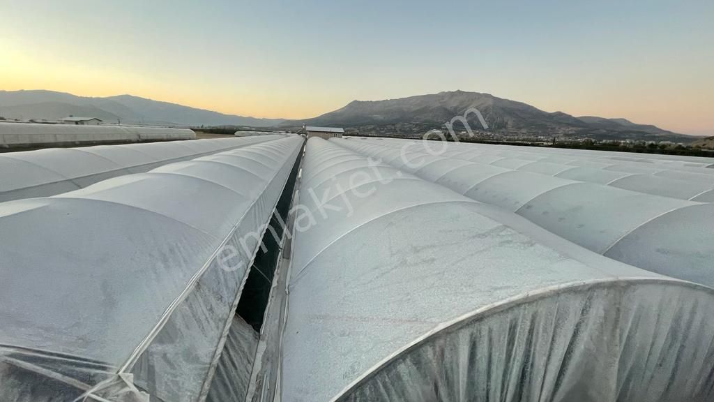 Elmalı Düdenköy Mahallesinde Suyu, Elektriği, Yolu Ve Evi Bulunan 7500m2 Satılık Sera - Görsel 13