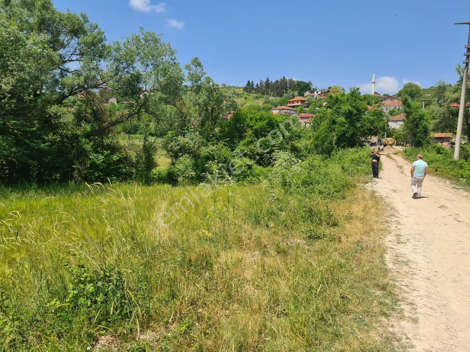 Kandıra Selametli Satılık Tarla acil ihtiyaç var 