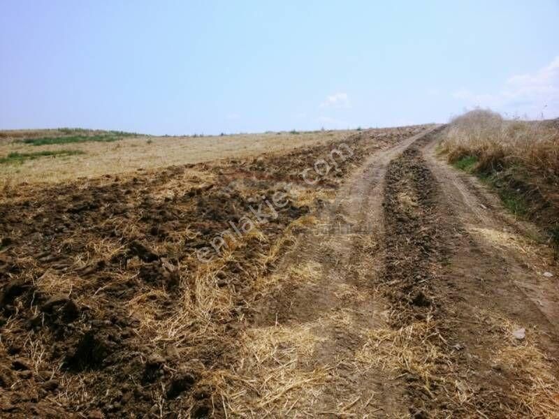 Güvenay - Çorum Ankara Yolu Civarında Satılık Çiftlik Ruhsatlı - Görsel 8