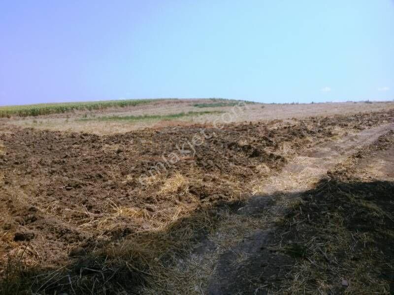 Güvenay - Çorum Ankara Yolu Civarında Satılık Çiftlik Ruhsatlı - Görsel 7