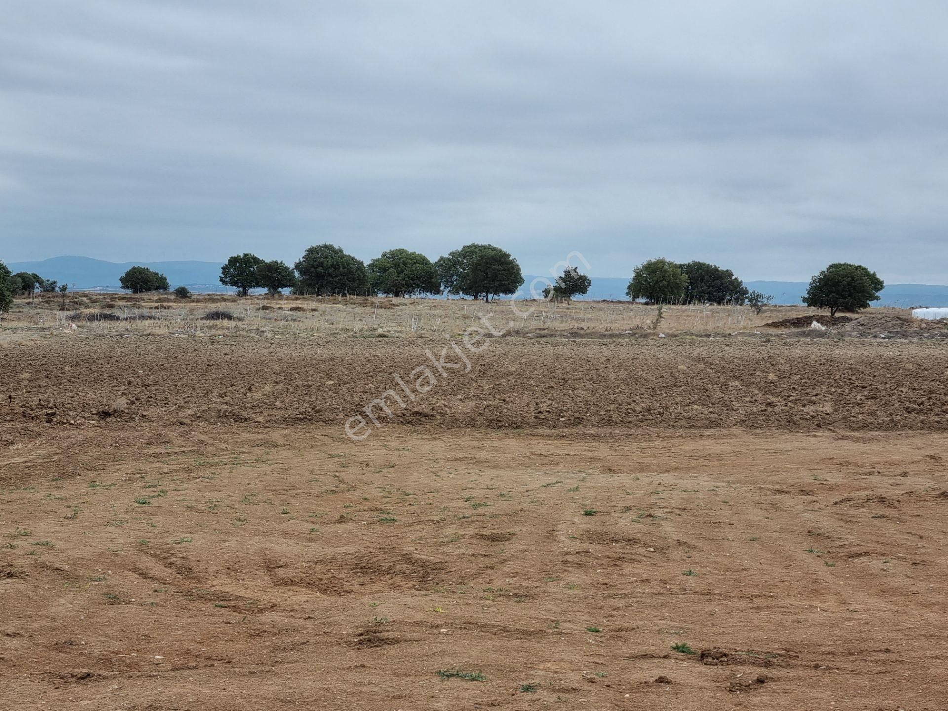 Han Emlak'tan Ezine Yeniköyde 9800 M2 Satılık Tarla - Görsel 20