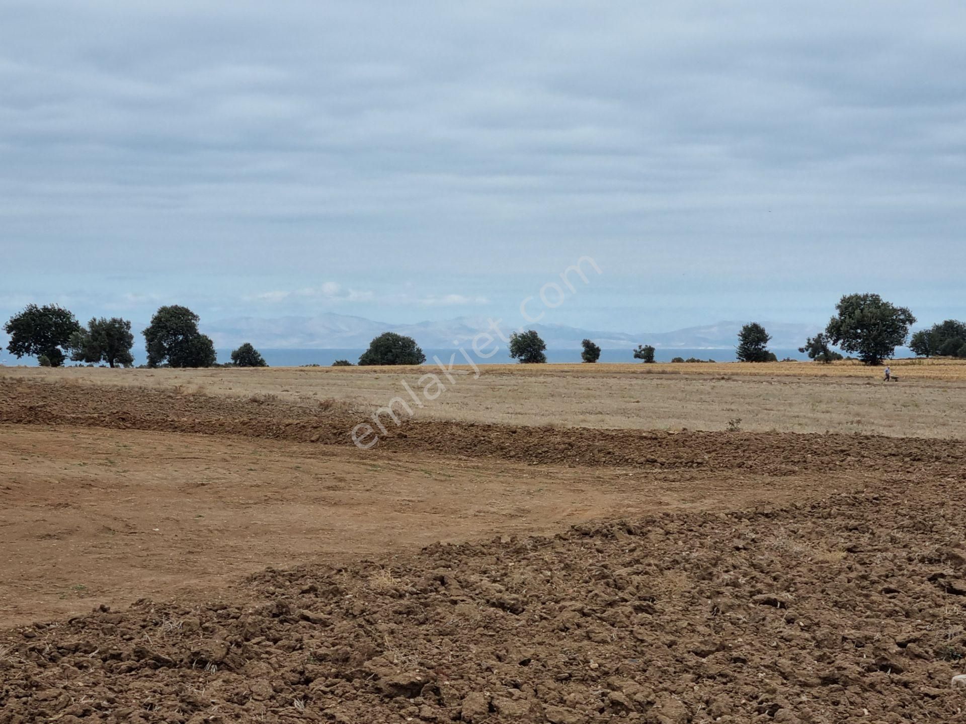 Han Emlak'tan Ezine Yeniköyde 9800 M2 Satılık Tarla - Görsel 7