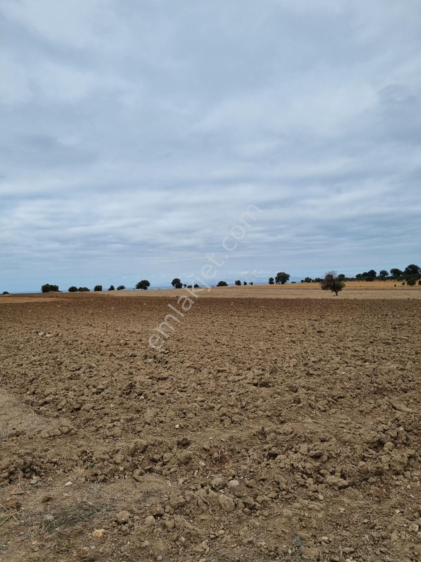 Han Emlak'tan Ezine Yeniköyde 9800 M2 Satılık Tarla - Görsel 2