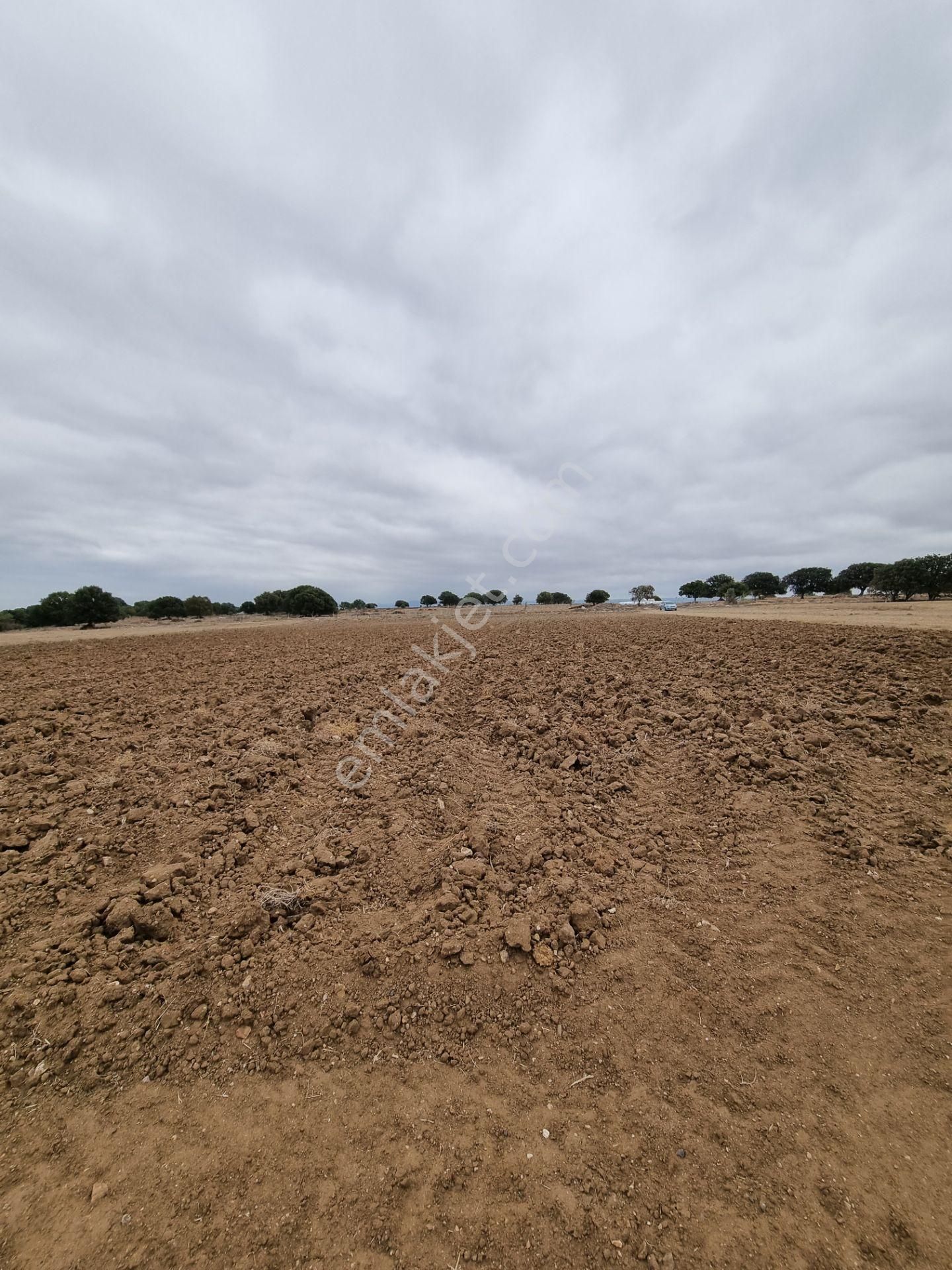 Han Emlak'tan Ezine Yeniköyde 9800 M2 Satılık Tarla - Görsel 12