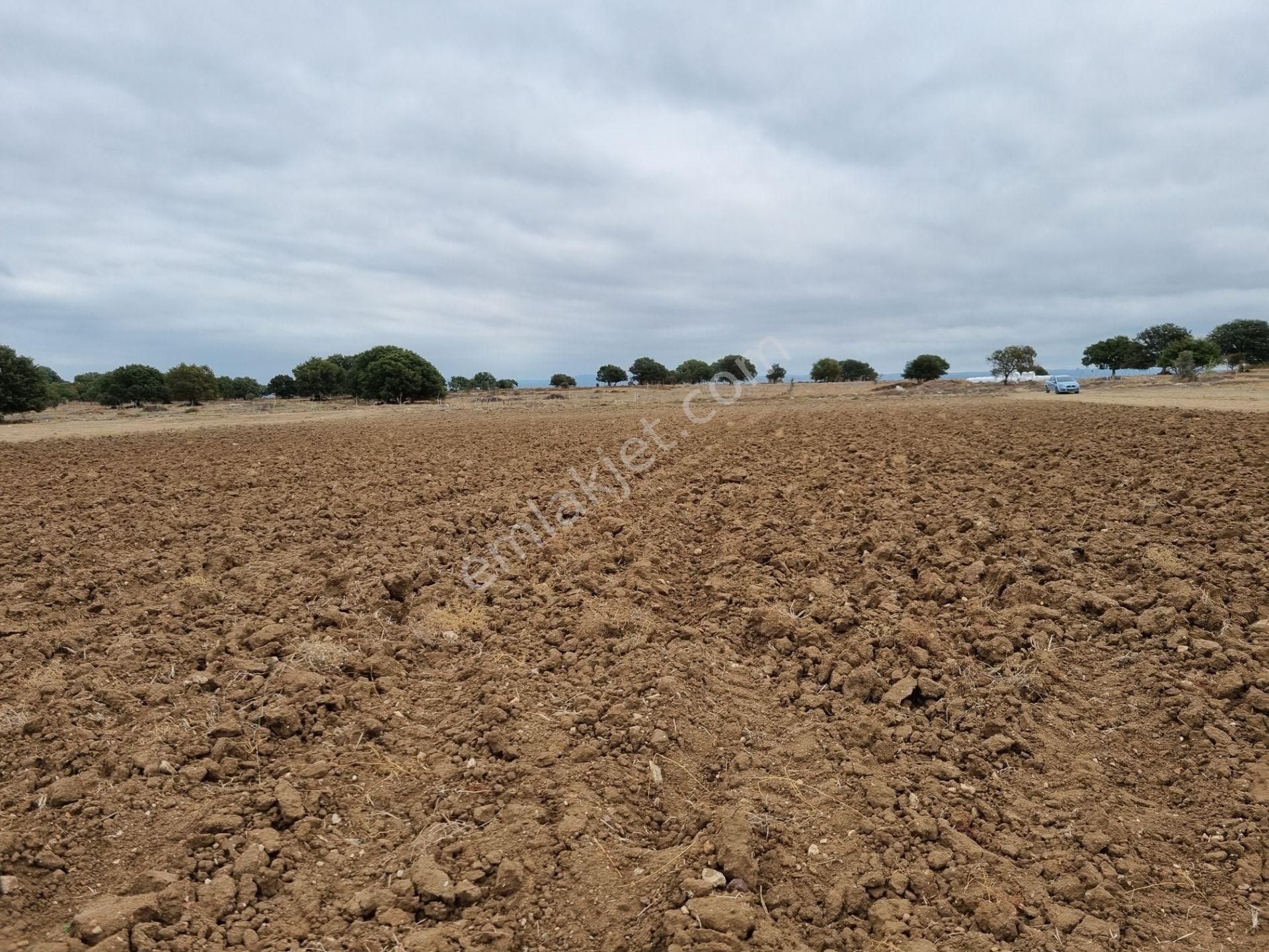 Han Emlak'tan Ezine Yeniköyde 9800 M2 Satılık Tarla - Görsel 10