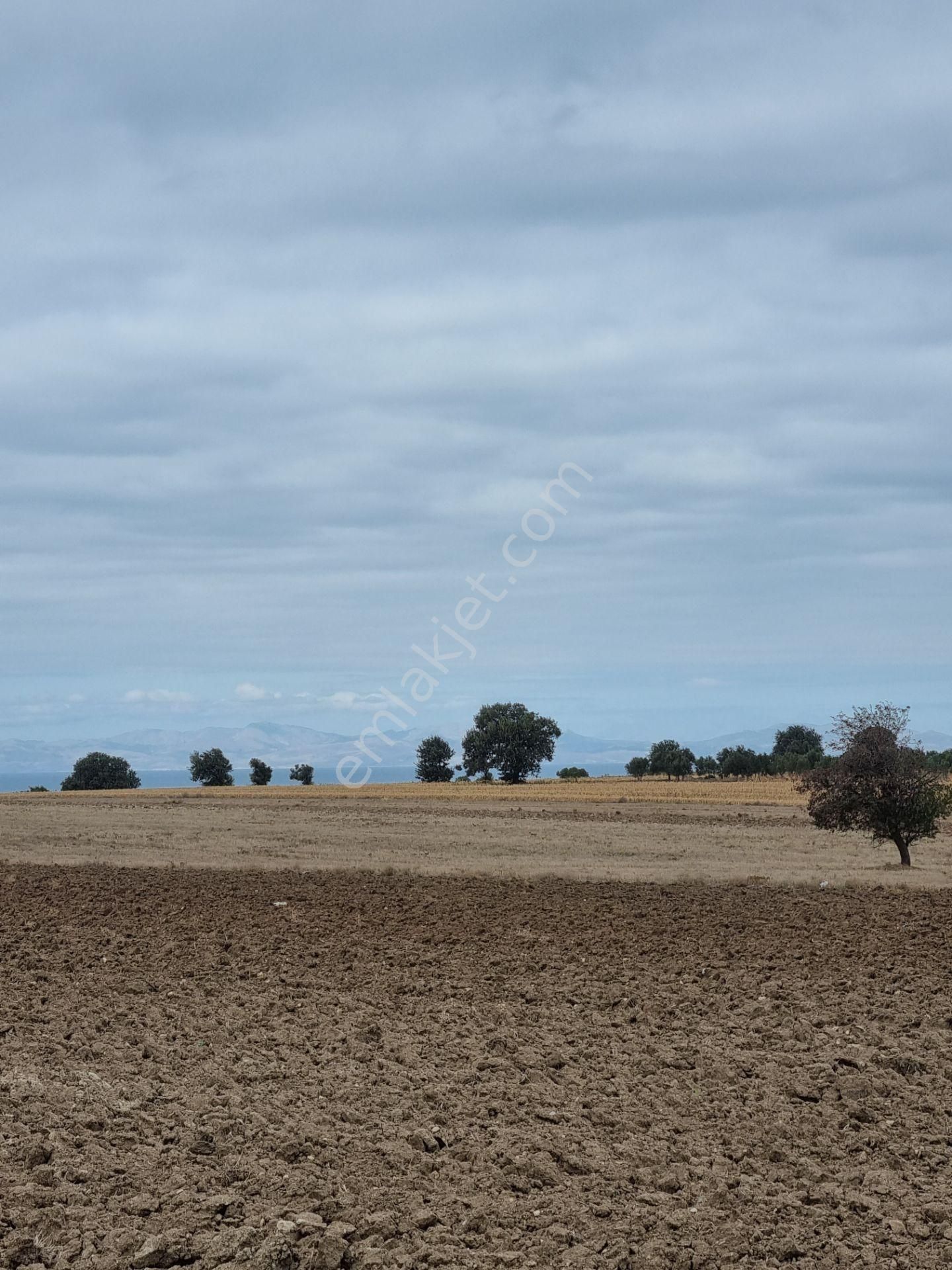 Han Emlak'tan Ezine Yeniköyde 9800 M2 Satılık Tarla - Görsel 27