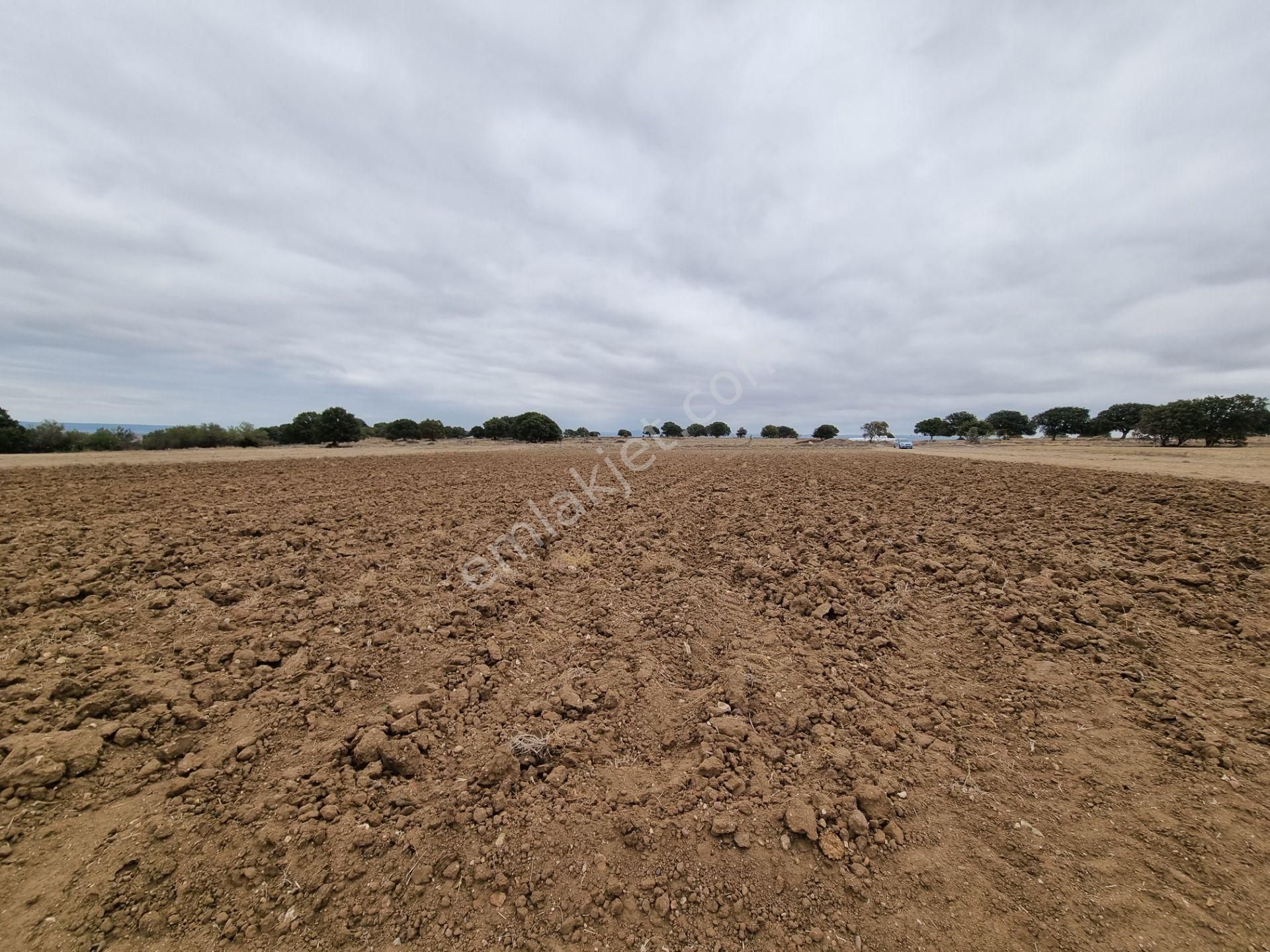 Han Emlak'tan Ezine Yeniköyde 9800 M2 Satılık Tarla - Görsel 11