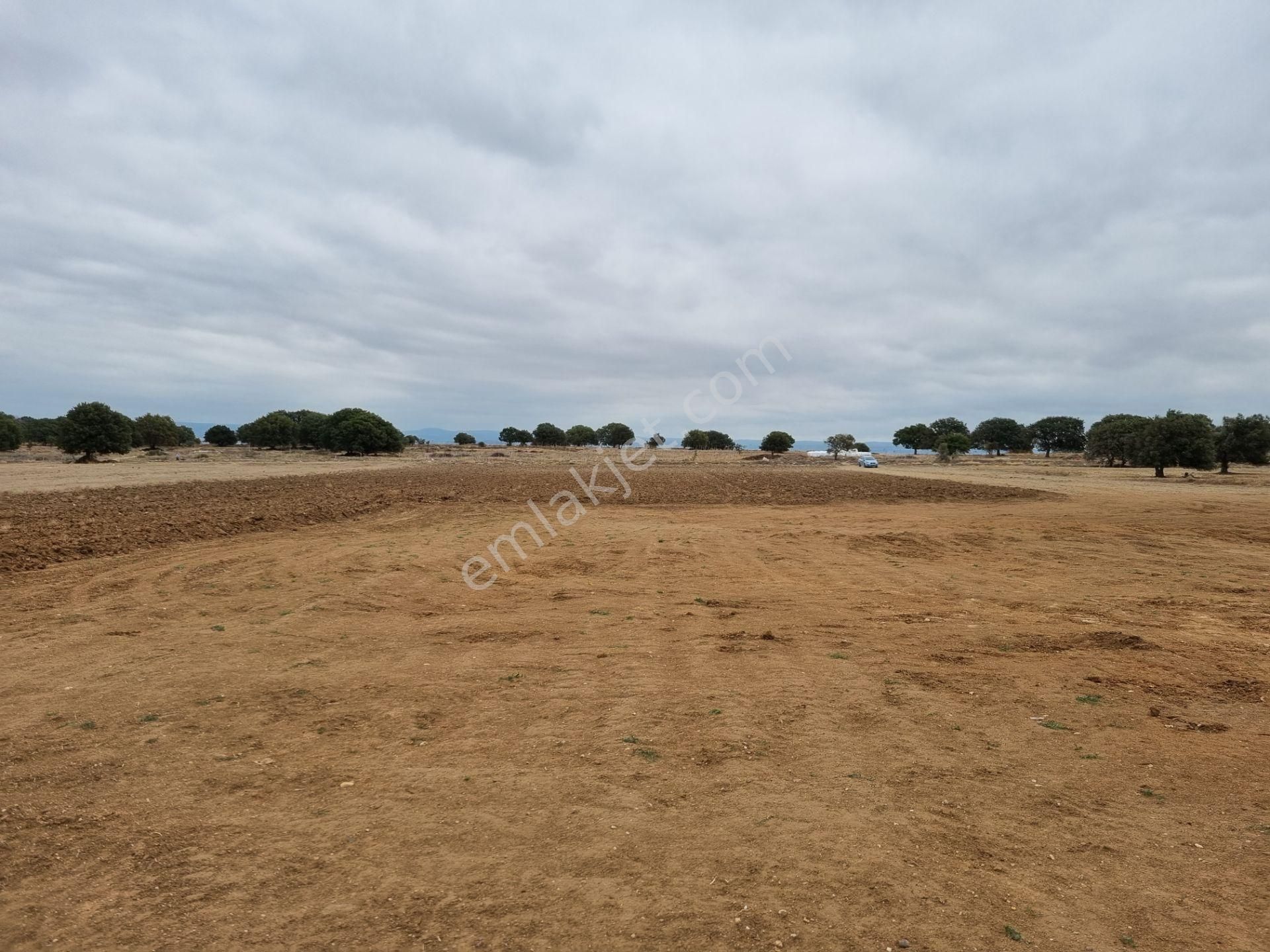 Han Emlak'tan Ezine Yeniköyde 9800 M2 Satılık Tarla - Görsel 21