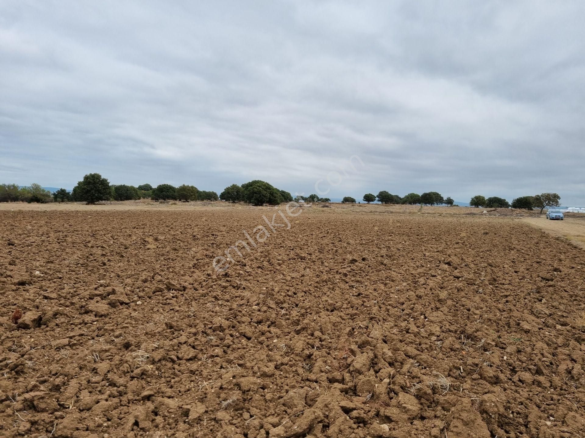 Han Emlak'tan Ezine Yeniköyde 9800 M2 Satılık Tarla - Görsel 9