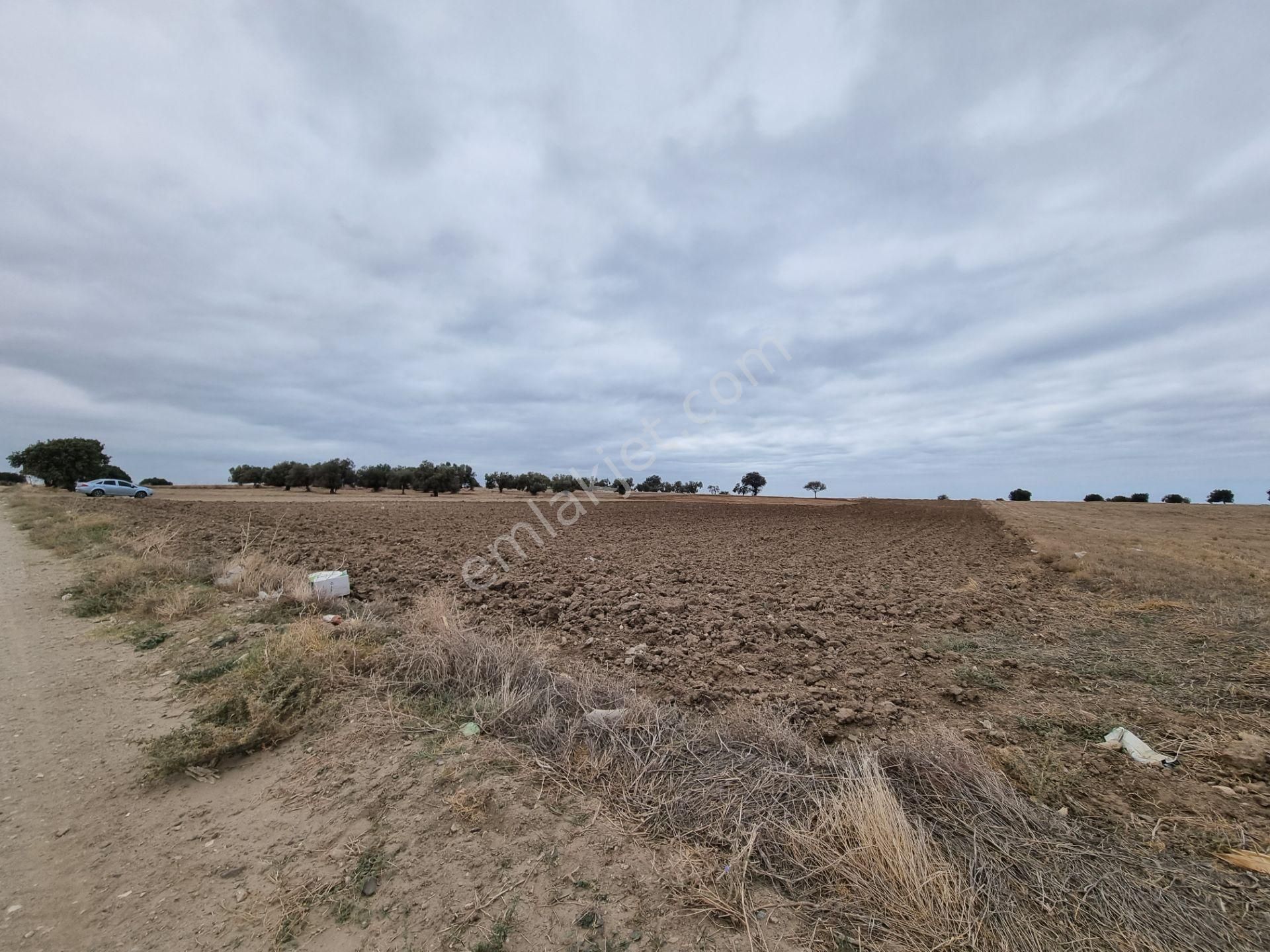 Han Emlak'tan Ezine Yeniköyde 9800 M2 Satılık Tarla - Görsel 26