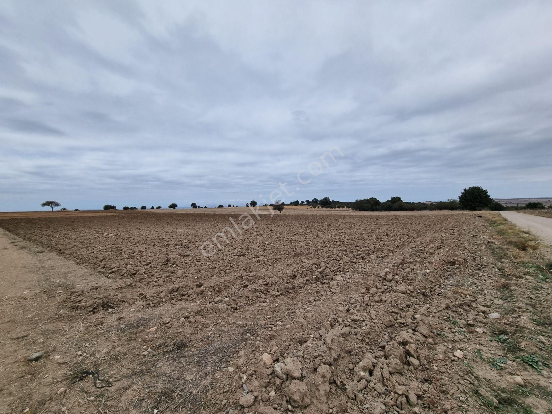 Han Emlak'tan Ezine Yeniköyde 9800 M2 Satılık Tarla - Görsel 4