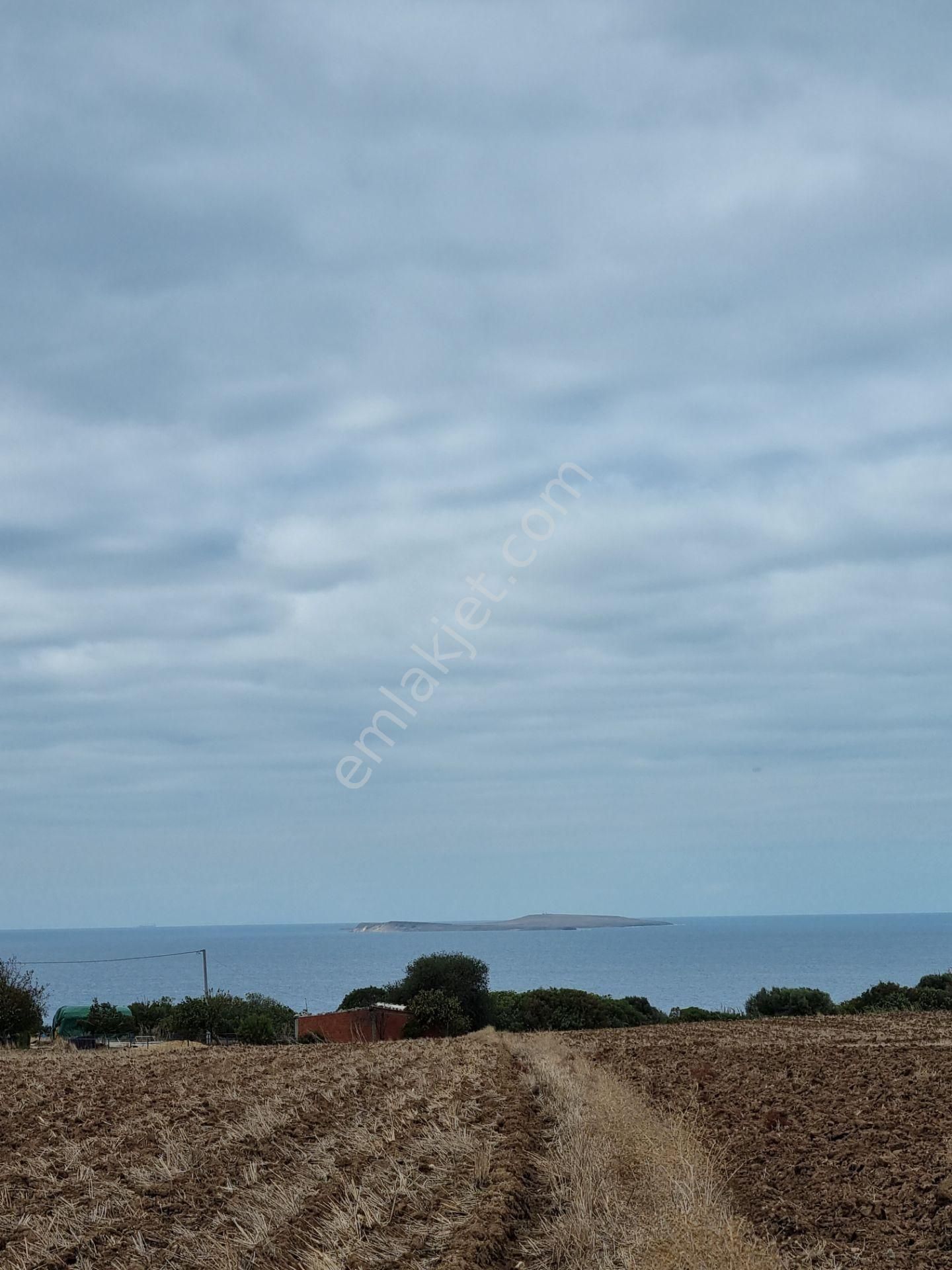 Han Emlak'tan Ezine Yeniköyde 9800 M2 Satılık Tarla - Görsel 13