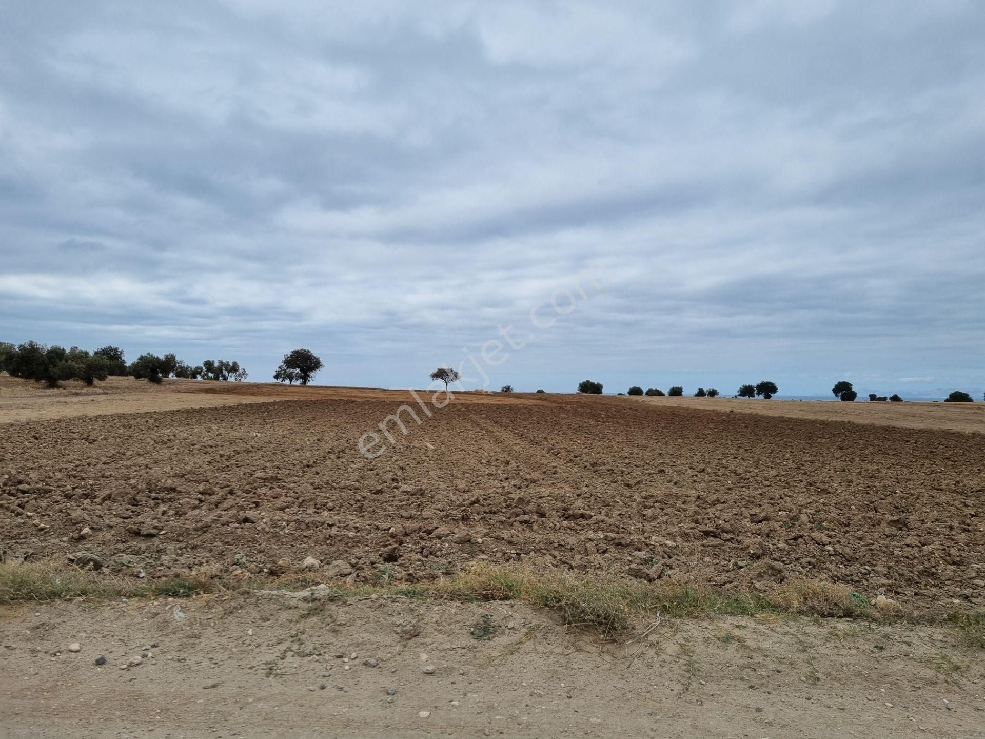 Han Emlak'tan Ezine Yeniköyde 9800 M2 Satılık Tarla - Görsel 22