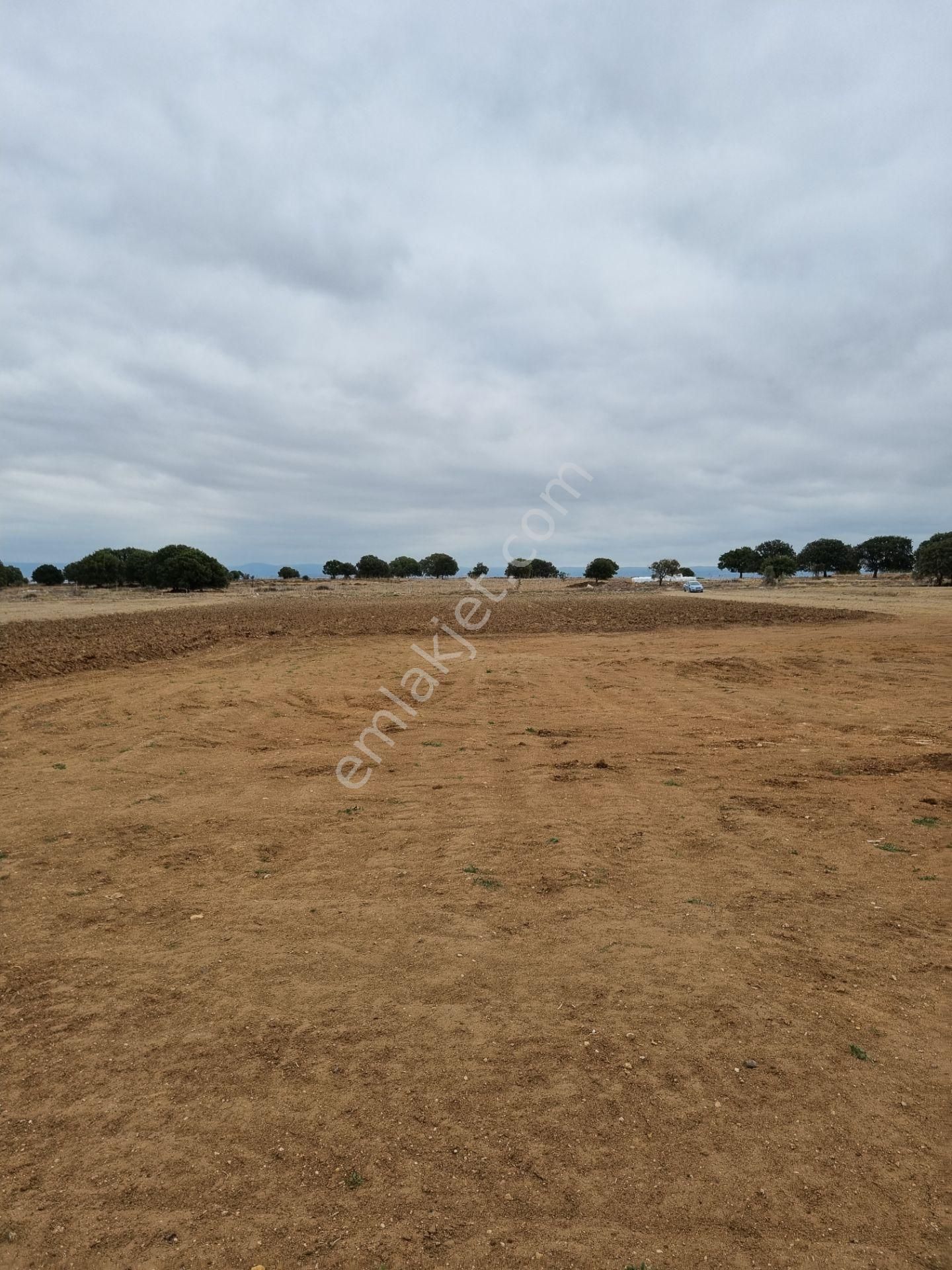 Han Emlak'tan Ezine Yeniköyde 9800 M2 Satılık Tarla - Görsel 18