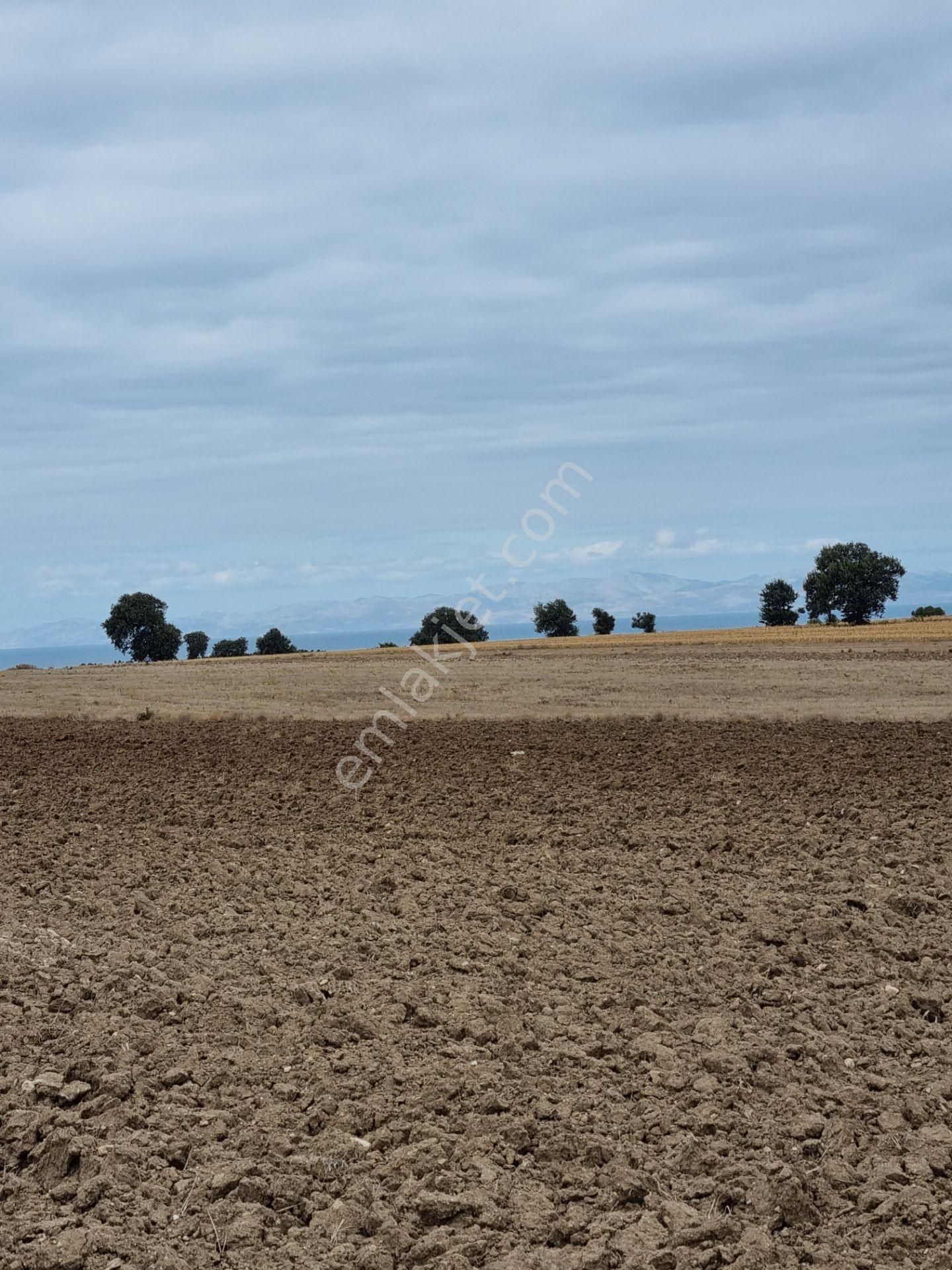 Han Emlak'tan Ezine Yeniköyde 9800 M2 Satılık Tarla - Görsel 3