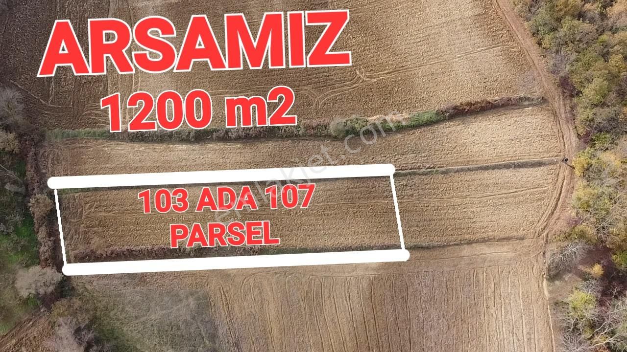 Kandıra Seyitaliler Satılık Tarla MERCAN EMLAKTAN SEYİTAİLERDE SATLIK 1200 M2 %5KONUT %30 ÇİFTLİK İMARLI TOPLULAŞMADA 