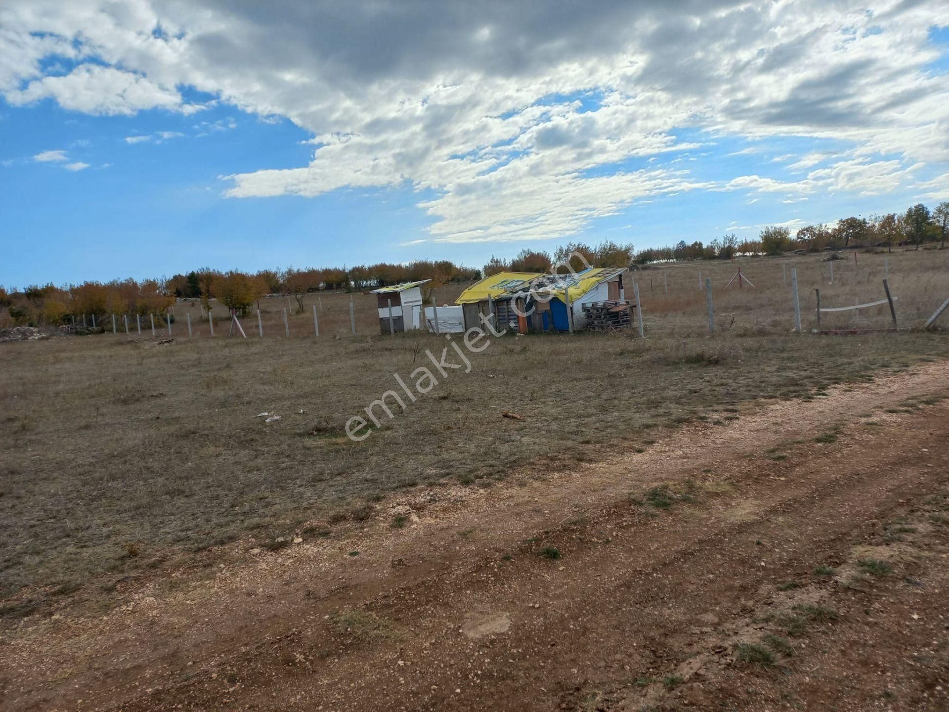 Kırklareli Vize Evrencik Müstakil 3900 M2 Bağ Evi İçinde Bahçe-bağ-çiflik İçin Mera Cephe Arazi