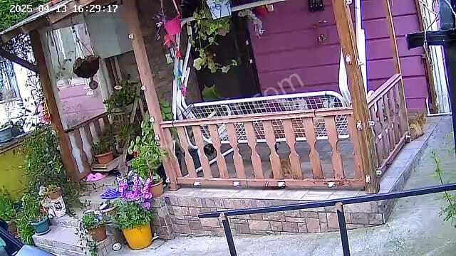 Hayallerdeki Pembe Renkli Villa (takaslı) - Görsel 13