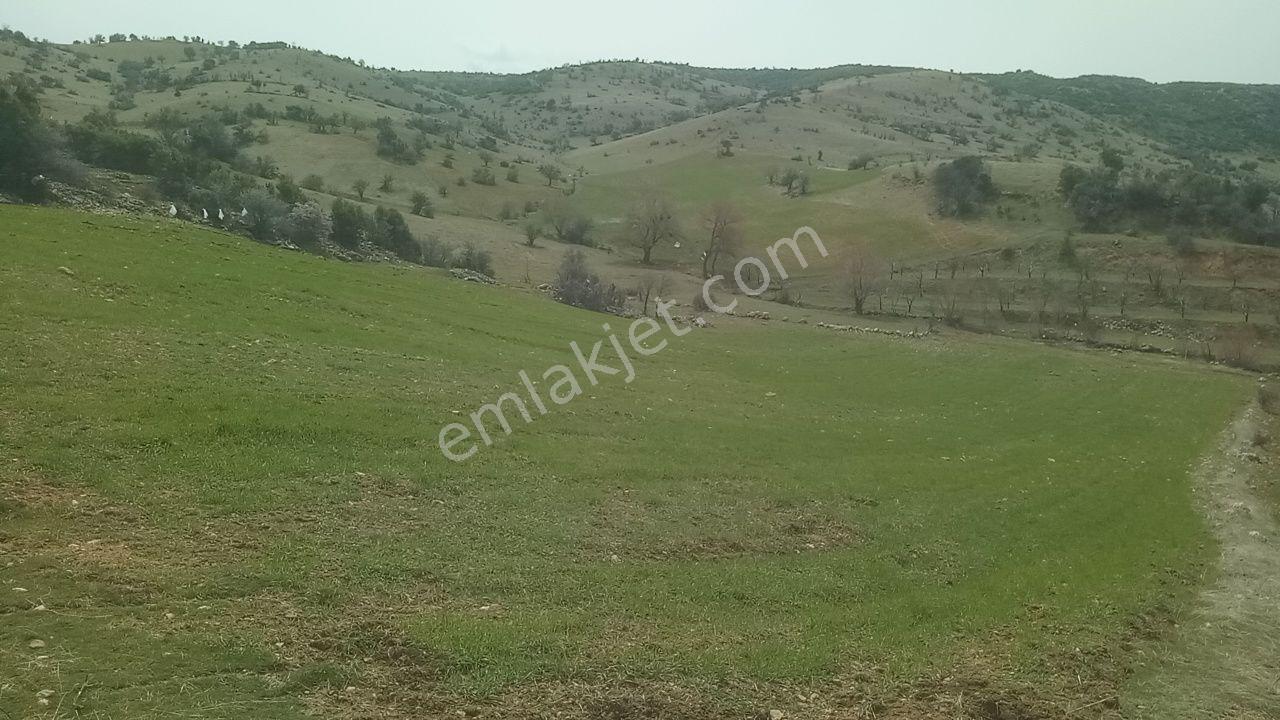 Eğirdir Sarıidris Kalecik De Elmalık Tarla Müstakil - Görsel 3
