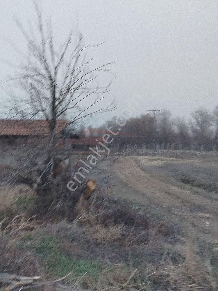 Güvenay - Çorum Alaca Kavşağı İlerisi Tarhan Civarında 8 Dönüm Çiftlik - Görsel 36