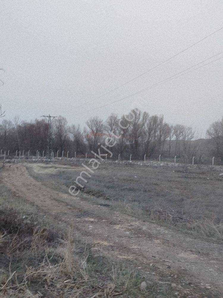 Güvenay - Çorum Alaca Kavşağı İlerisi Tarhan Civarında 8 Dönüm Çiftlik - Görsel 37