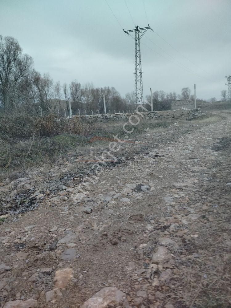 Güvenay - Çorum Alaca Kavşağı İlerisi Tarhan Civarında 8 Dönüm Çiftlik - Görsel 27