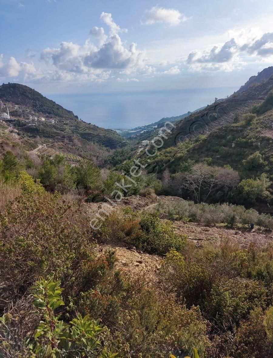 Yat Limanı Üstü Ful Deniz Manzaralı Satılık 2 Parsel - Görsel 5