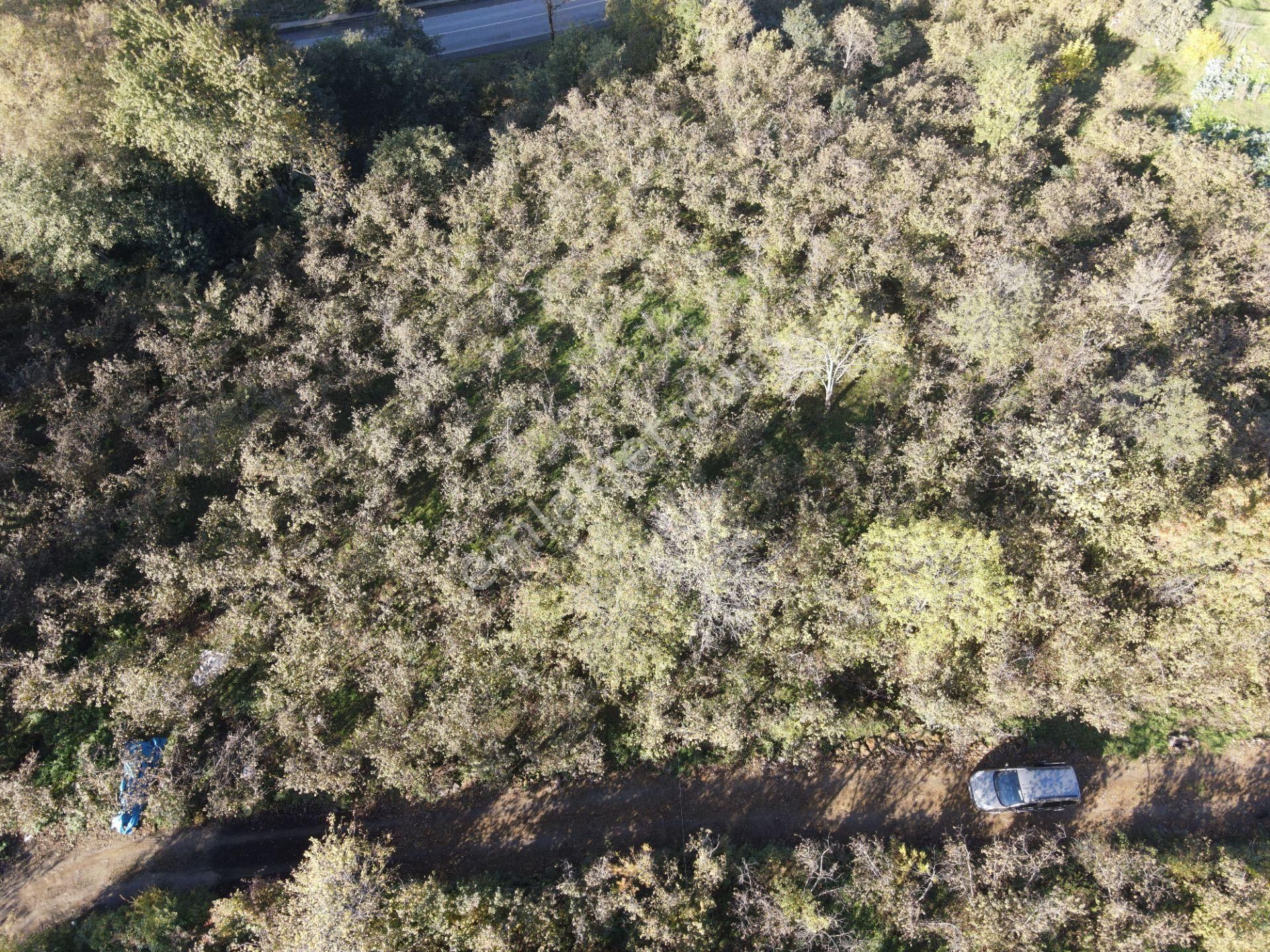 Yomra Namıkkemal Satılık Konut İmarlı Trabzon Yomra Da Satılık Arsa