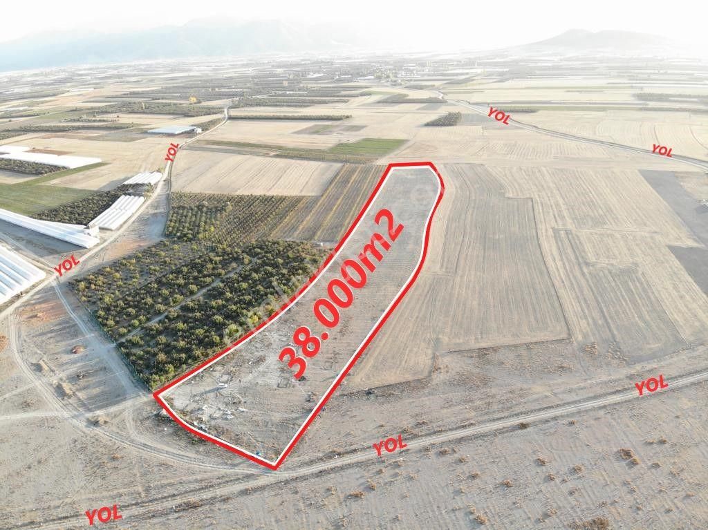 Elmalı Pirhasanlar Satılık Tarla  ANTALYA ELMALI İLÇESİNDE MURSAL ASFALTINA 100m İÇERİDE YATIRIMA UYGUN 38.000m2 SATILIK TARLA