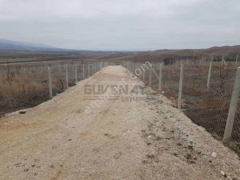 Çorum Merkez Kayı Köyü (Merkez) Satılık Bağ & Bahçe Çorum Cemilbey Yolu Üzeri Ana Yol Üzeri Satılık Bahçe