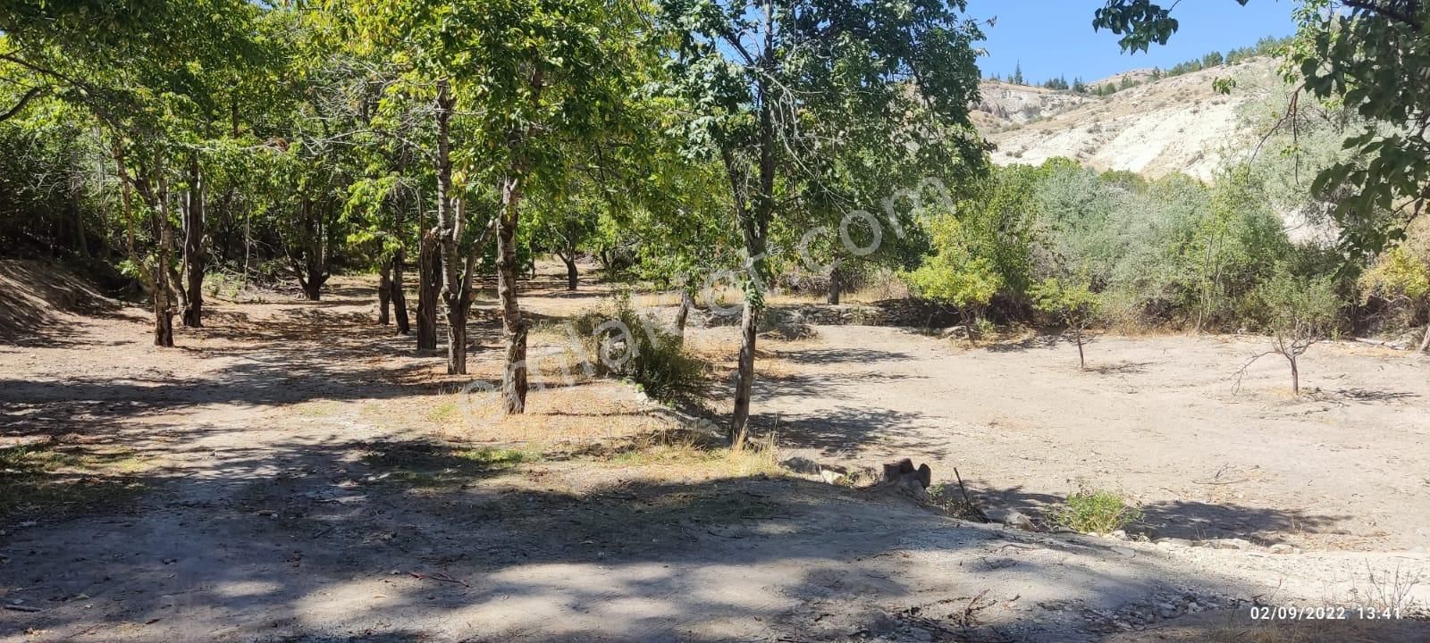 Evi, Yolu, Suyu Ve Elektriği İle On Numara Bahçe, Kaçıran Üzülür - Görsel 4