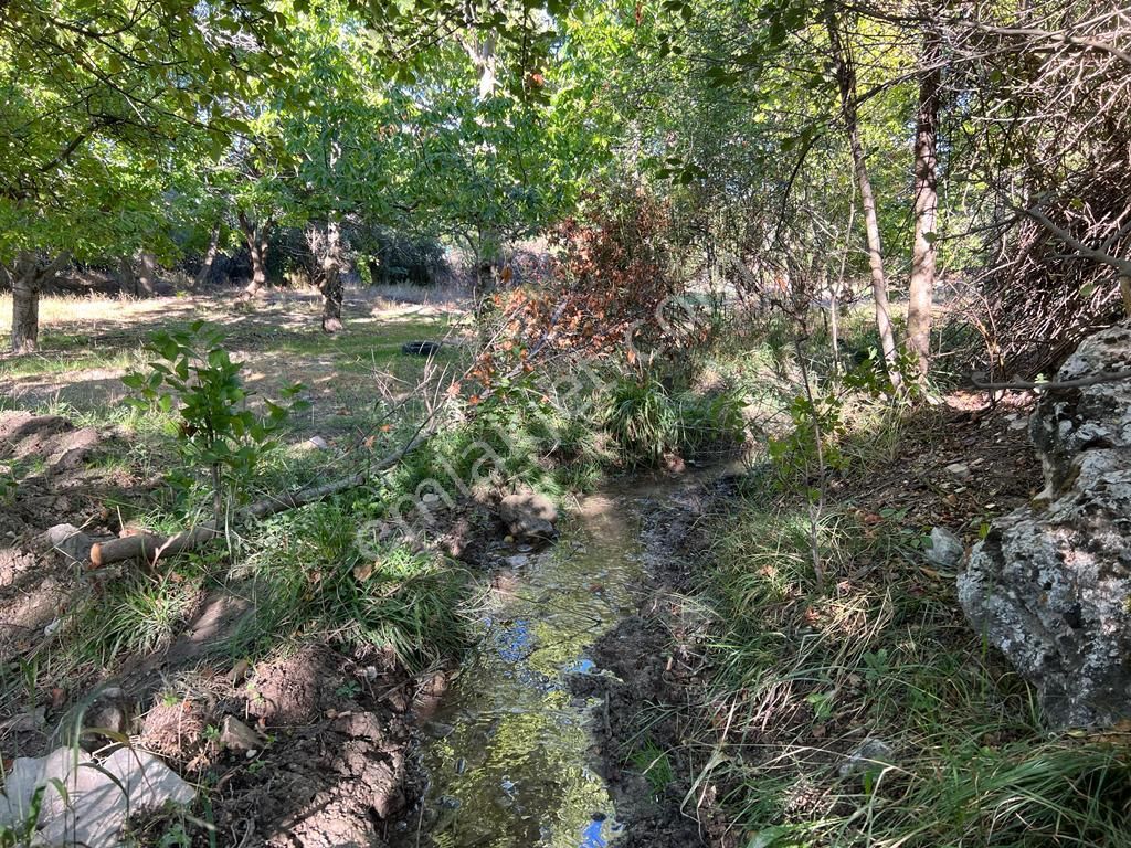 Evi, Yolu, Suyu Ve Elektriği İle On Numara Bahçe, Kaçıran Üzülür - Görsel 12