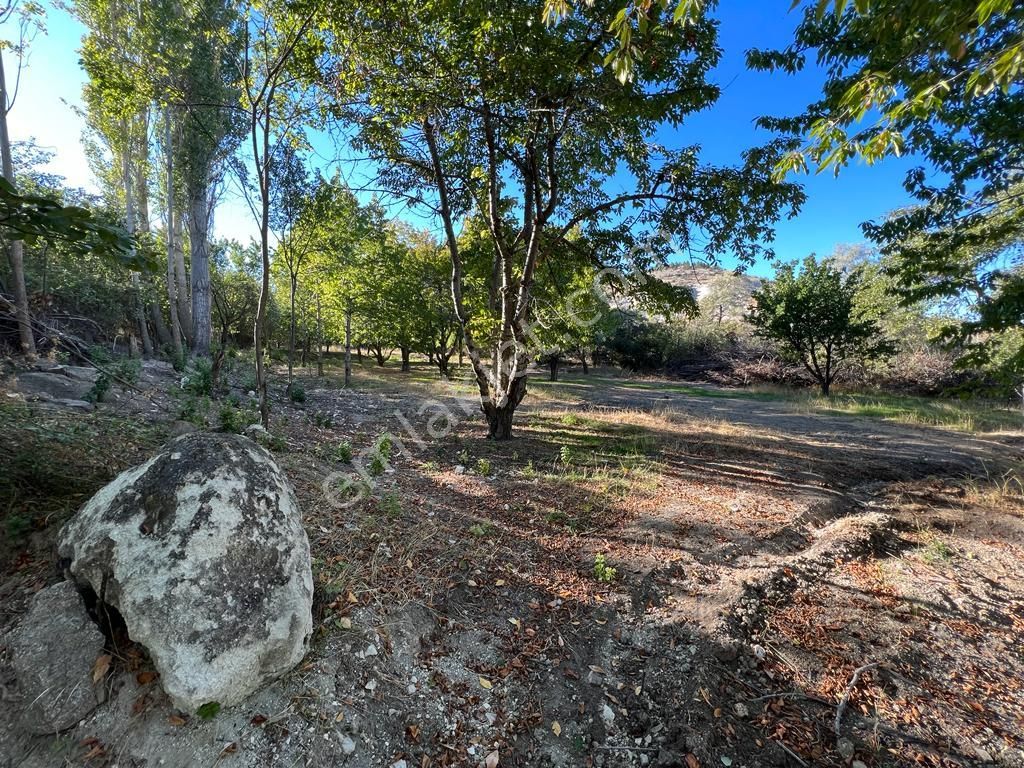 Evi, Yolu, Suyu Ve Elektriği İle On Numara Bahçe, Kaçıran Üzülür - Görsel 7