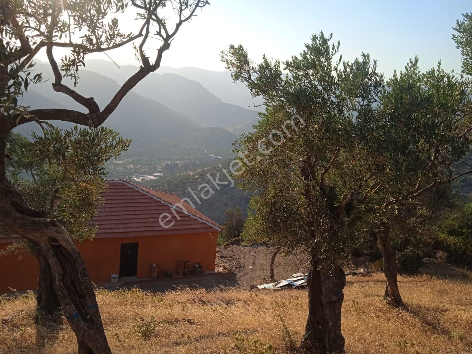 Koyuncu Group Tan Bayındır Baraj Manzaralı Ergenli Mahallesi Yakını Satılık Zeytınlık - Görsel 2