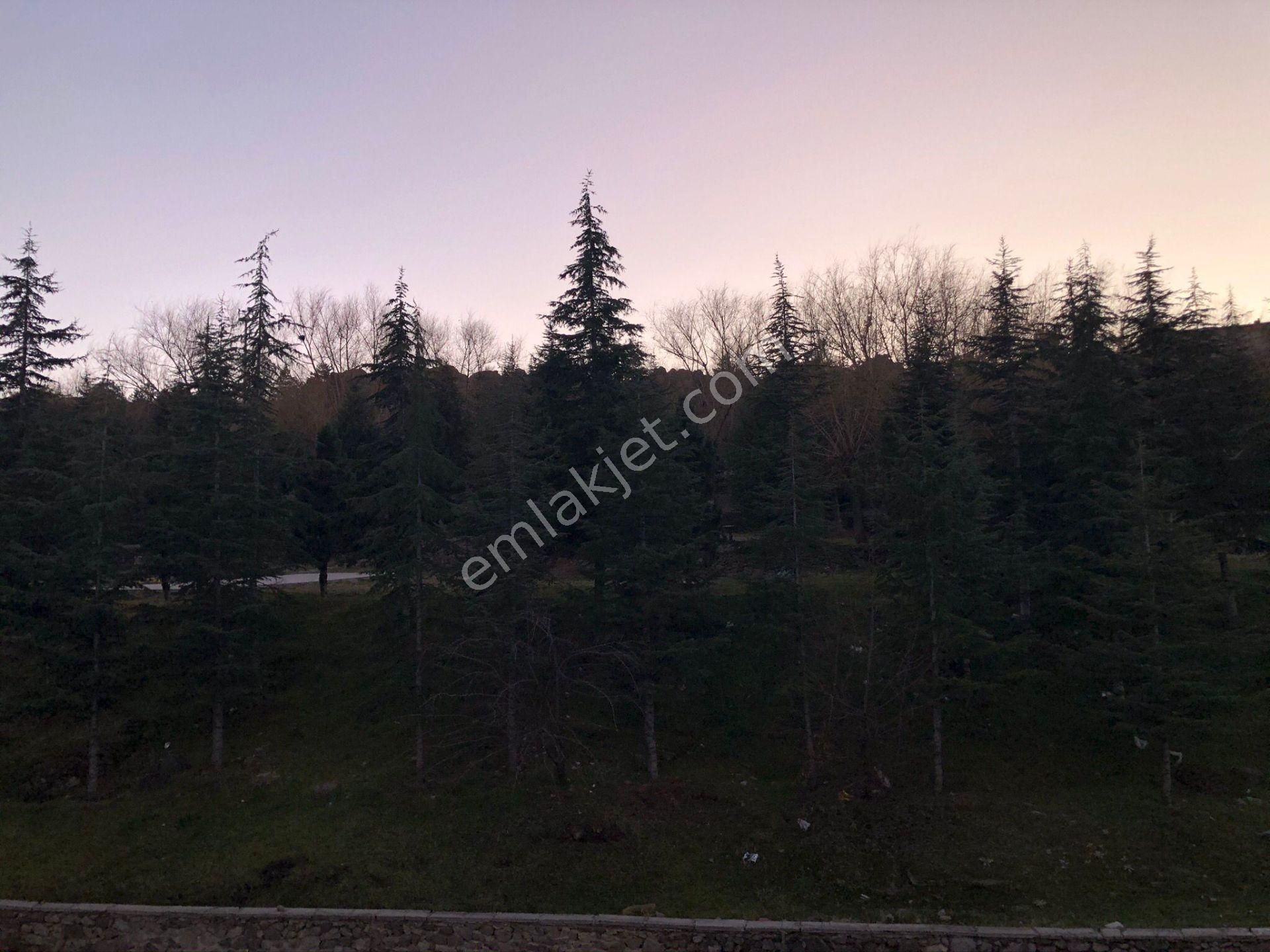 Tezcan Emlaktan Şehir Merkezi Müze Arkası Geniş Daire - Görsel 21