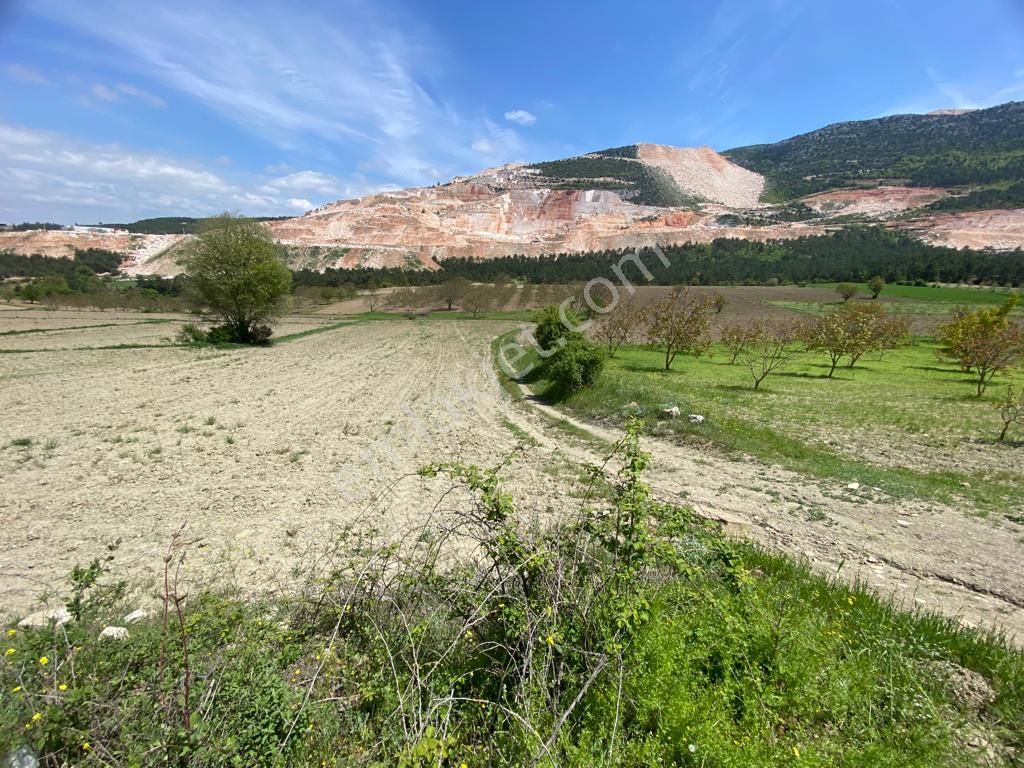 Gölpazarı Şahinler Köyü Satılık Tarla Bilecik Gölpazarı Şahinler Köyünde Yolu Olan 3.700 M2 Düz Tarla