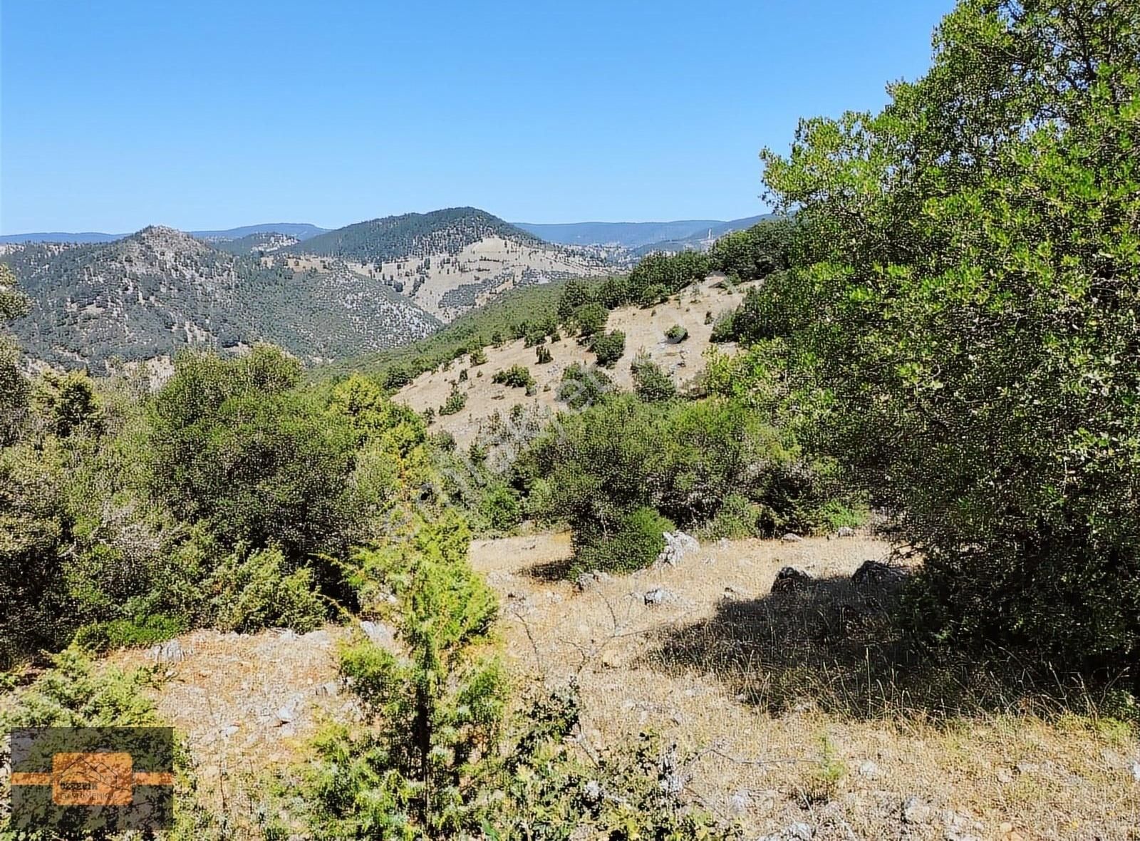 Büyükorhan Örencik Satılık Tarla BÜYÜKORHAN ÖRENCİK DE 7.700 METRE İSTER YATIRIM İSTER HOBİ