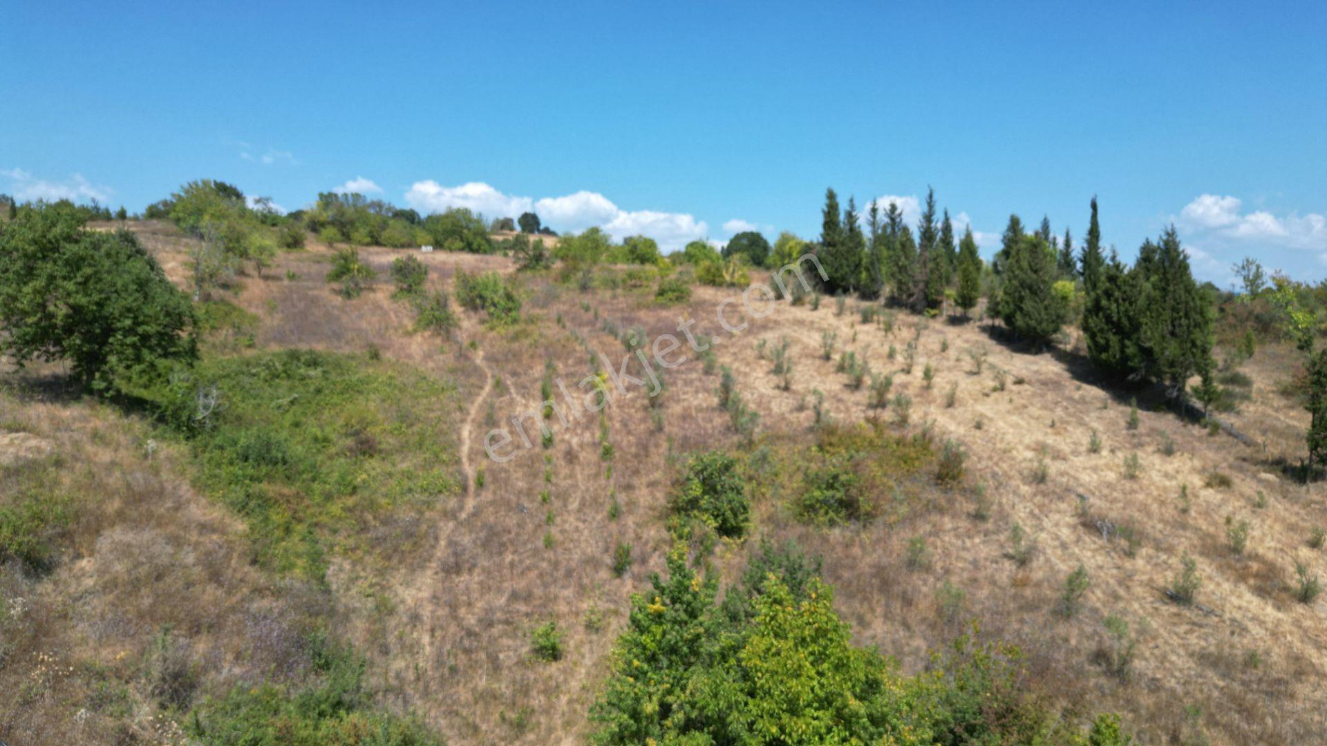 Kocaeli Karamürsel Yalakdere Mahallesi 18509 M2 Satılık Tarla - Görsel 2