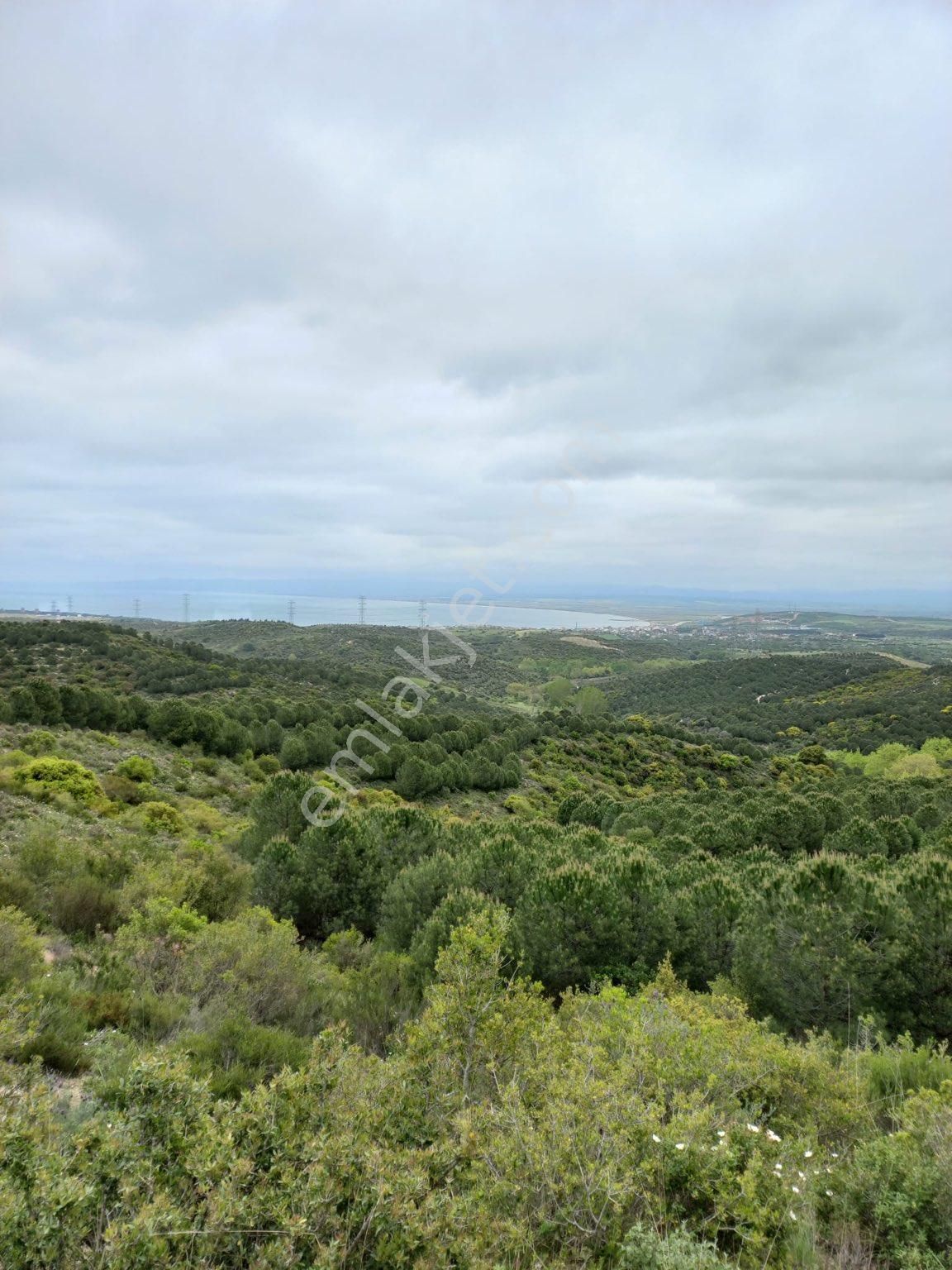 Biga Karabiga Bld. (Zeytinlik) Satılık Tarla ÇANAKKALE DE SATILIK  TARLA