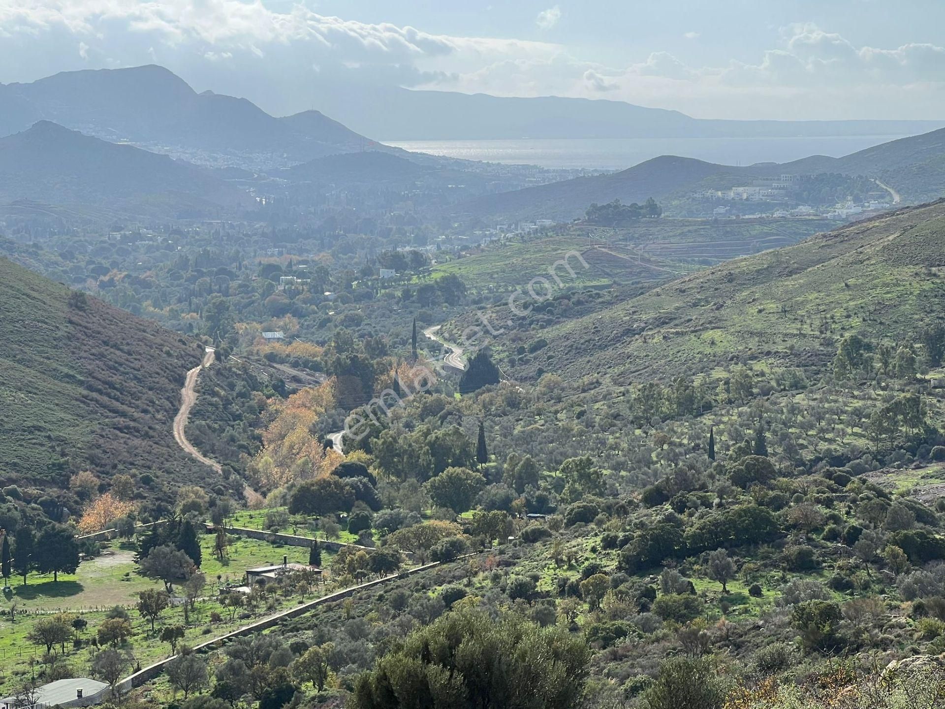 Bodrum Dereköy Satılık Tarla Bodrum Dereköyde Satılık Deniz Manzaralı Tarla