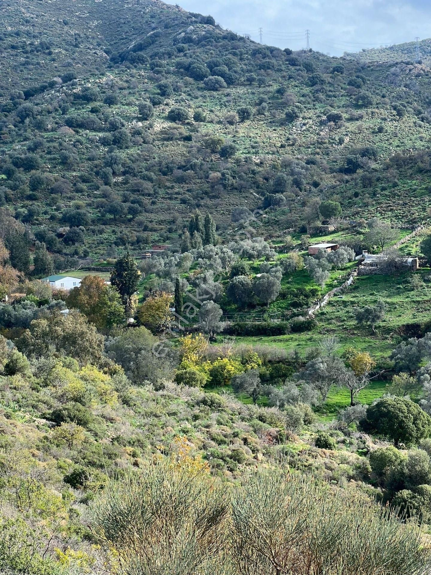 Bodrum Dereköyde Satılık Deniz Manzaralı Tarla - Görsel 9