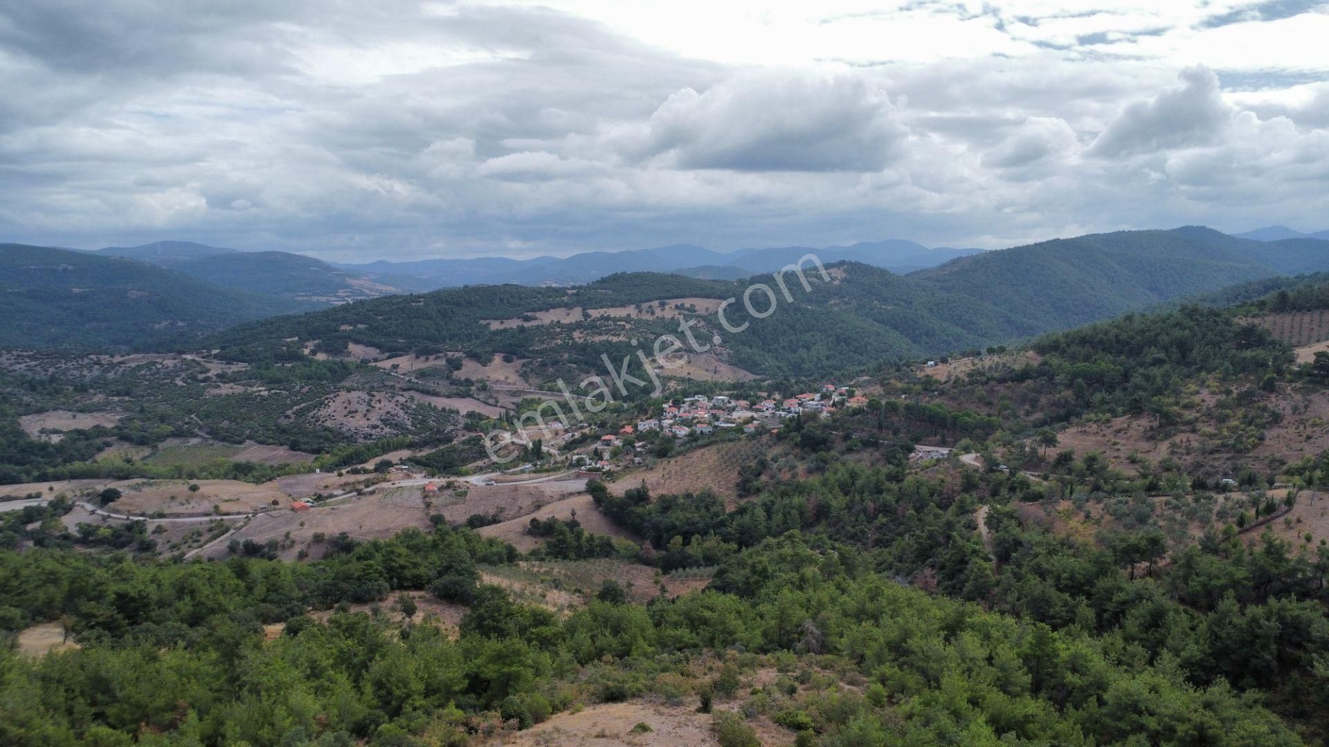 Çanakkale Merkez Çiftlikdere Köyü Satılık Tarla DAHA UCUZU YOK KELEPİR TARLA 11600 m2 ÇİFTLİKDERE KÖYÜNDE