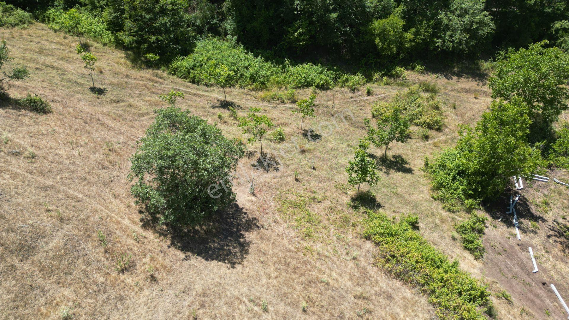 Kocaeli Karamürsel Çamdibi Mahallesi 4318 M2 Satılık Tarla - Görsel 13