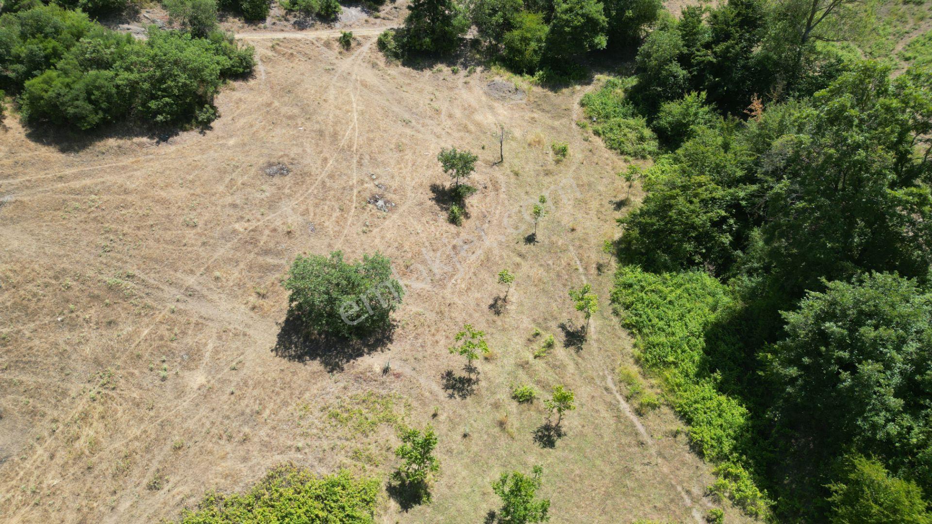 Kocaeli Karamürsel Çamdibi Mahallesi 4318 M2 Satılık Tarla - Görsel 10