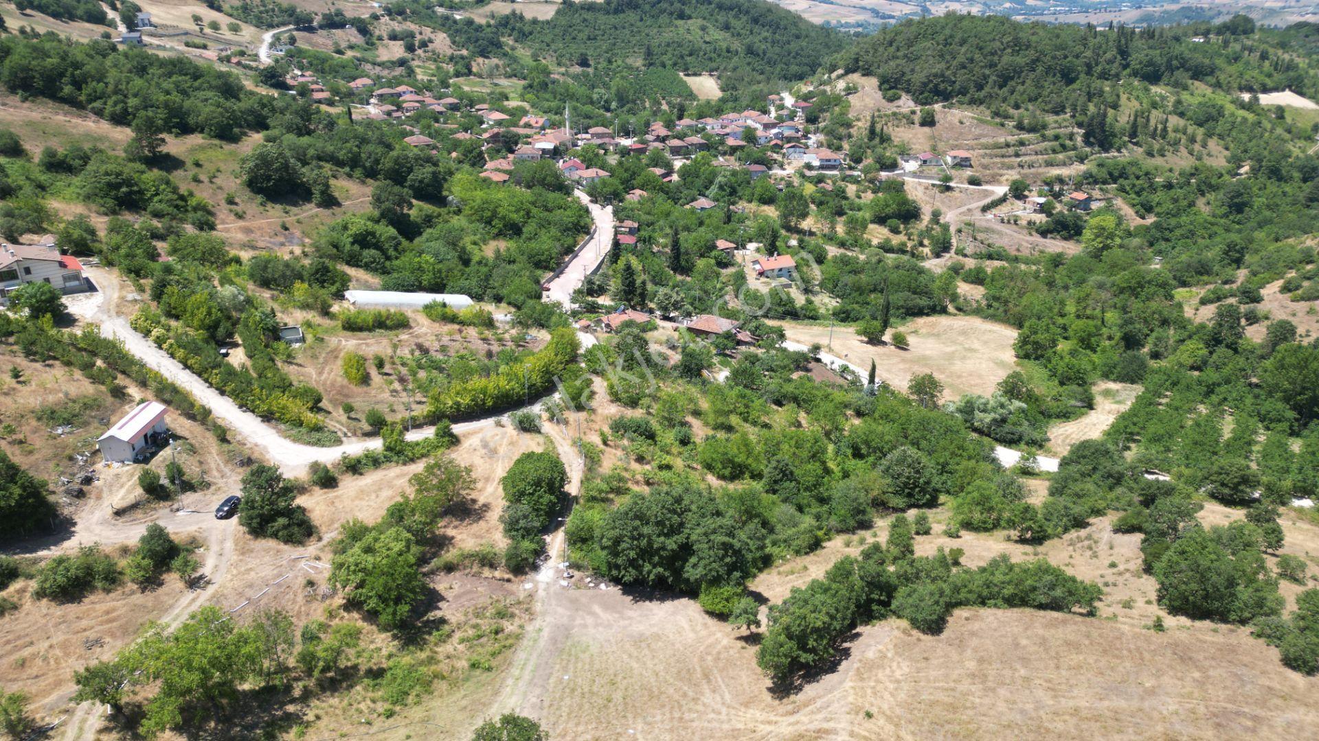 Kocaeli Karamürsel Çamdibi Mahallesi 4318 M2 Satılık Tarla - Görsel 9
