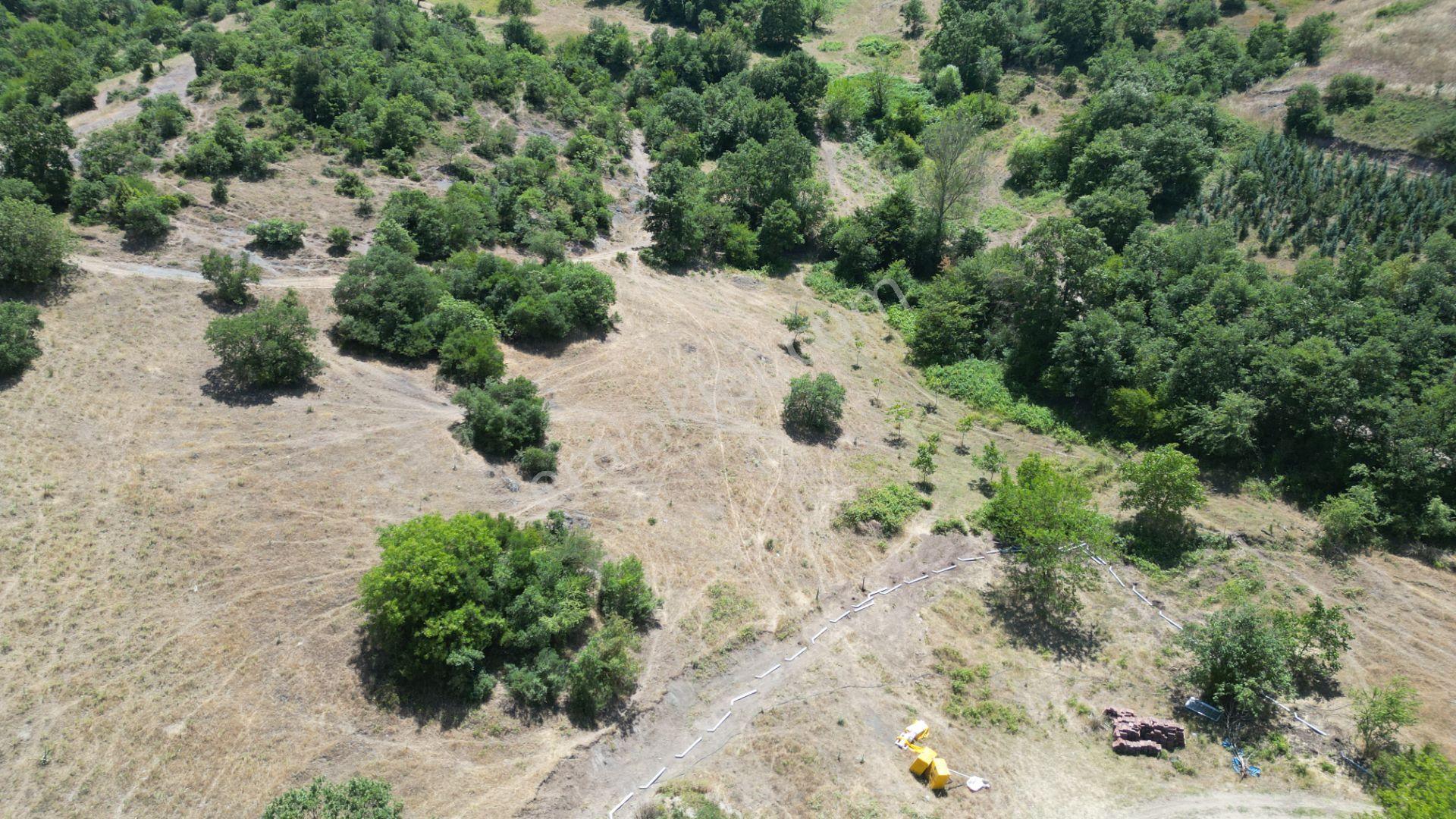 Kocaeli Karamürsel Çamdibi Mahallesi 4318 M2 Satılık Tarla - Görsel 3