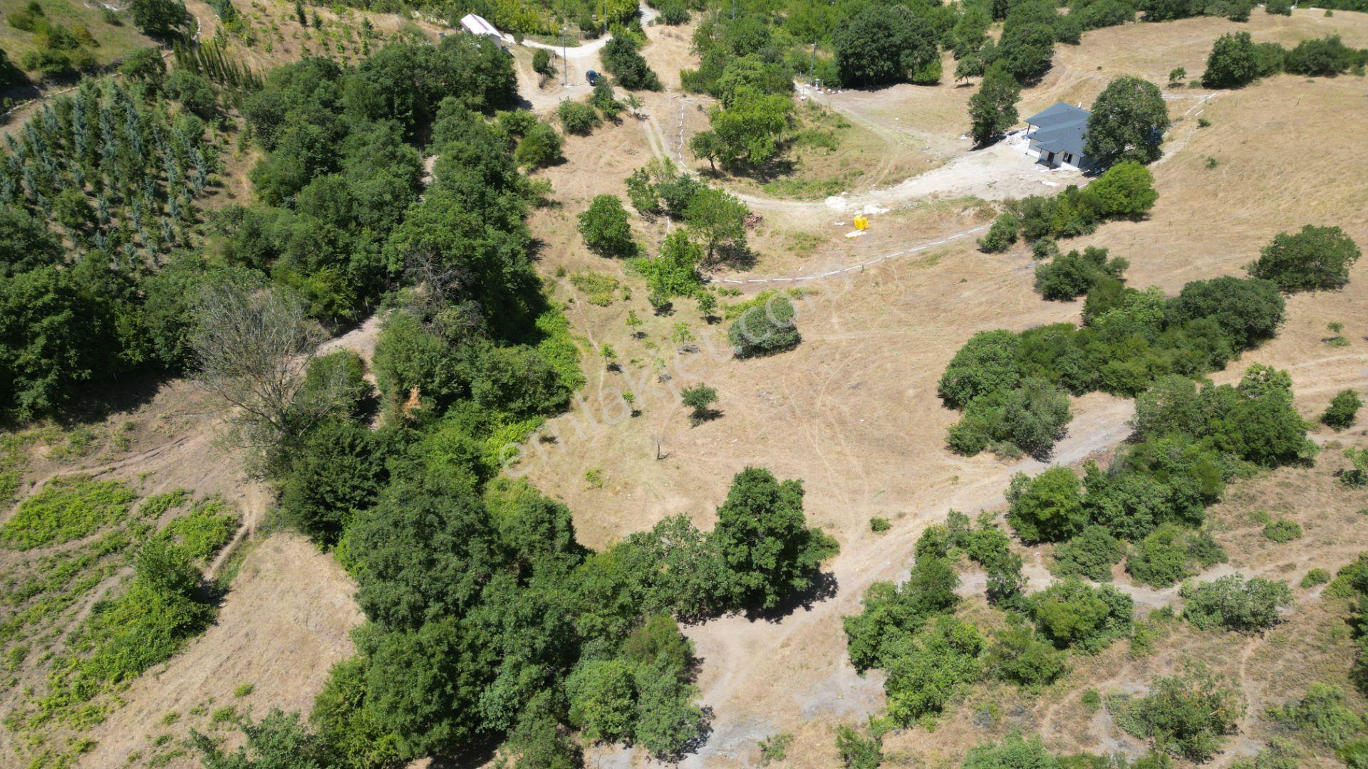 Kocaeli Karamürsel Çamdibi Mahallesi 4318 M2 Satılık Tarla - Görsel 6