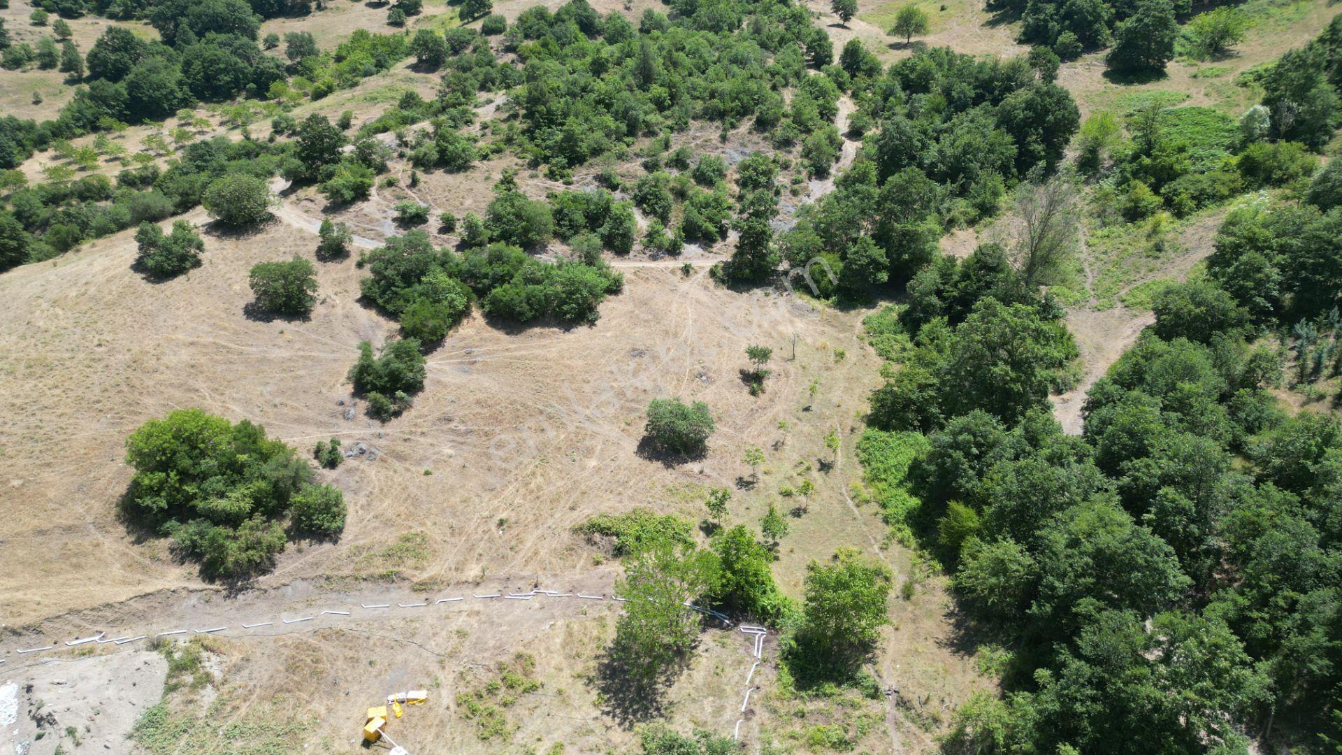 Kocaeli Karamürsel Çamdibi Mahallesi 4318 M2 Satılık Tarla - Görsel 4