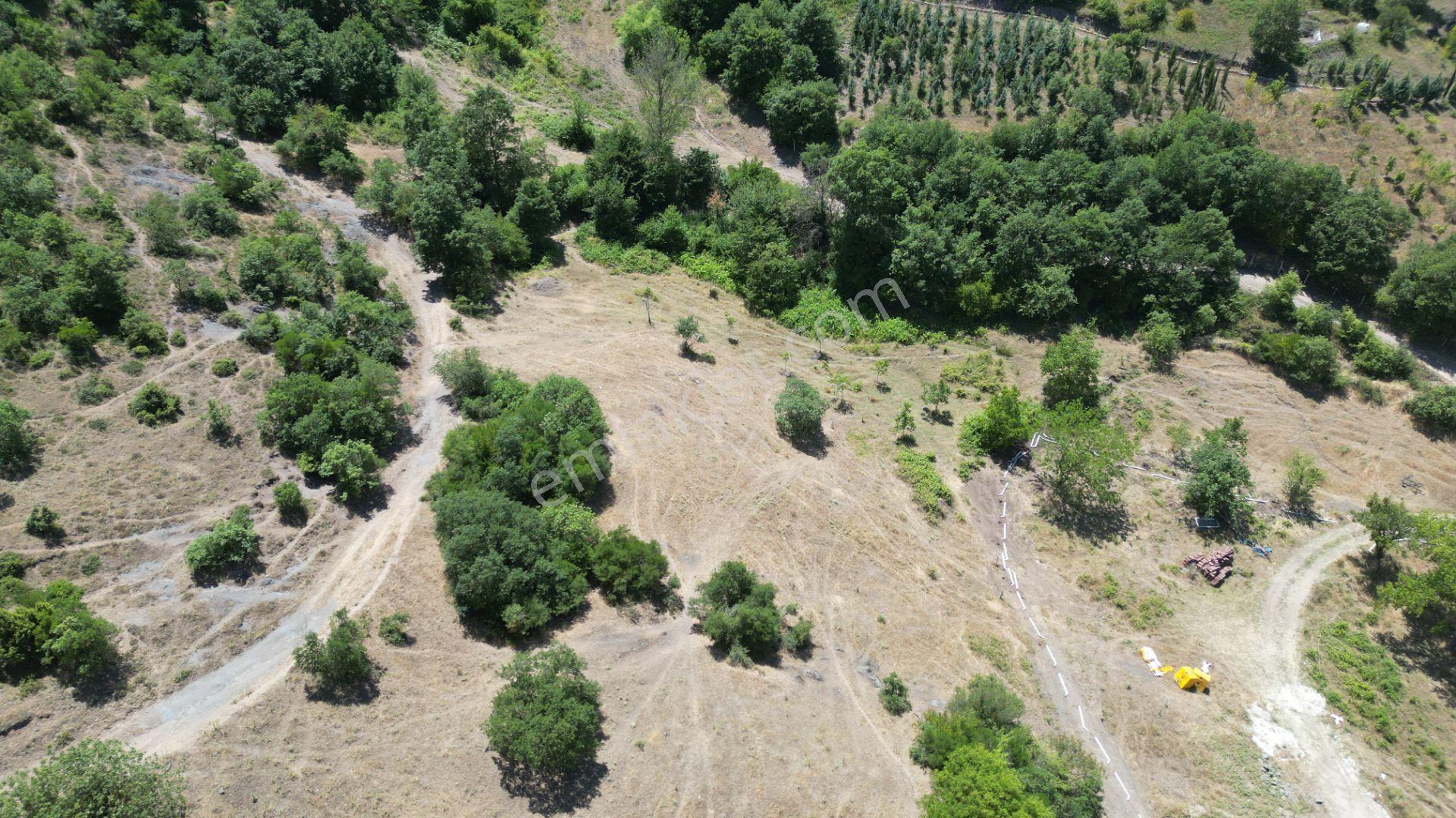 Kocaeli Karamürsel Çamdibi Mahallesi 4318 M2 Satılık Tarla - Görsel 8